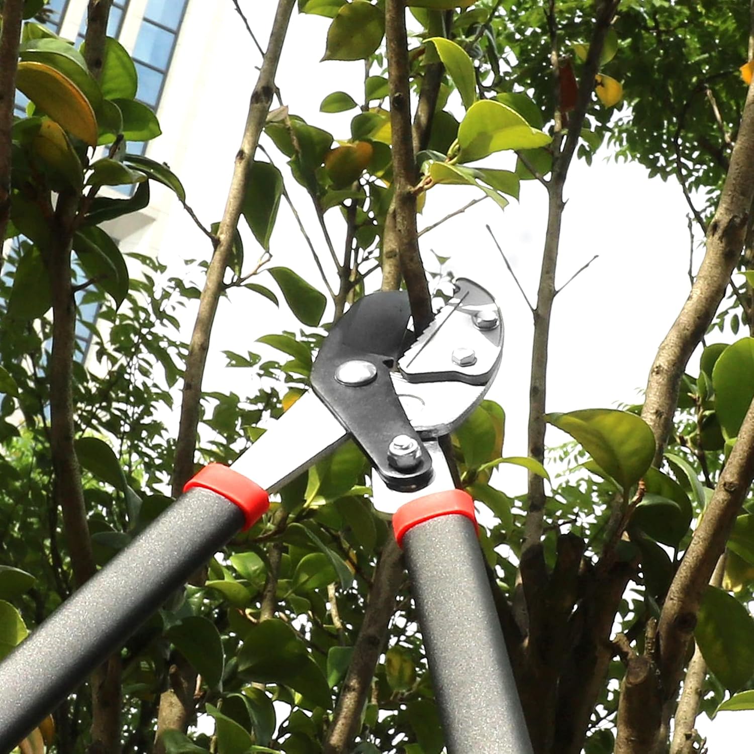 GARTOL Anvil Lopper with Compound Action Branch Cutter, 29.5 Inch Tree Trimmer with 2 Inch Clean Cut Capacity, Cut Through Thick Branches Easy