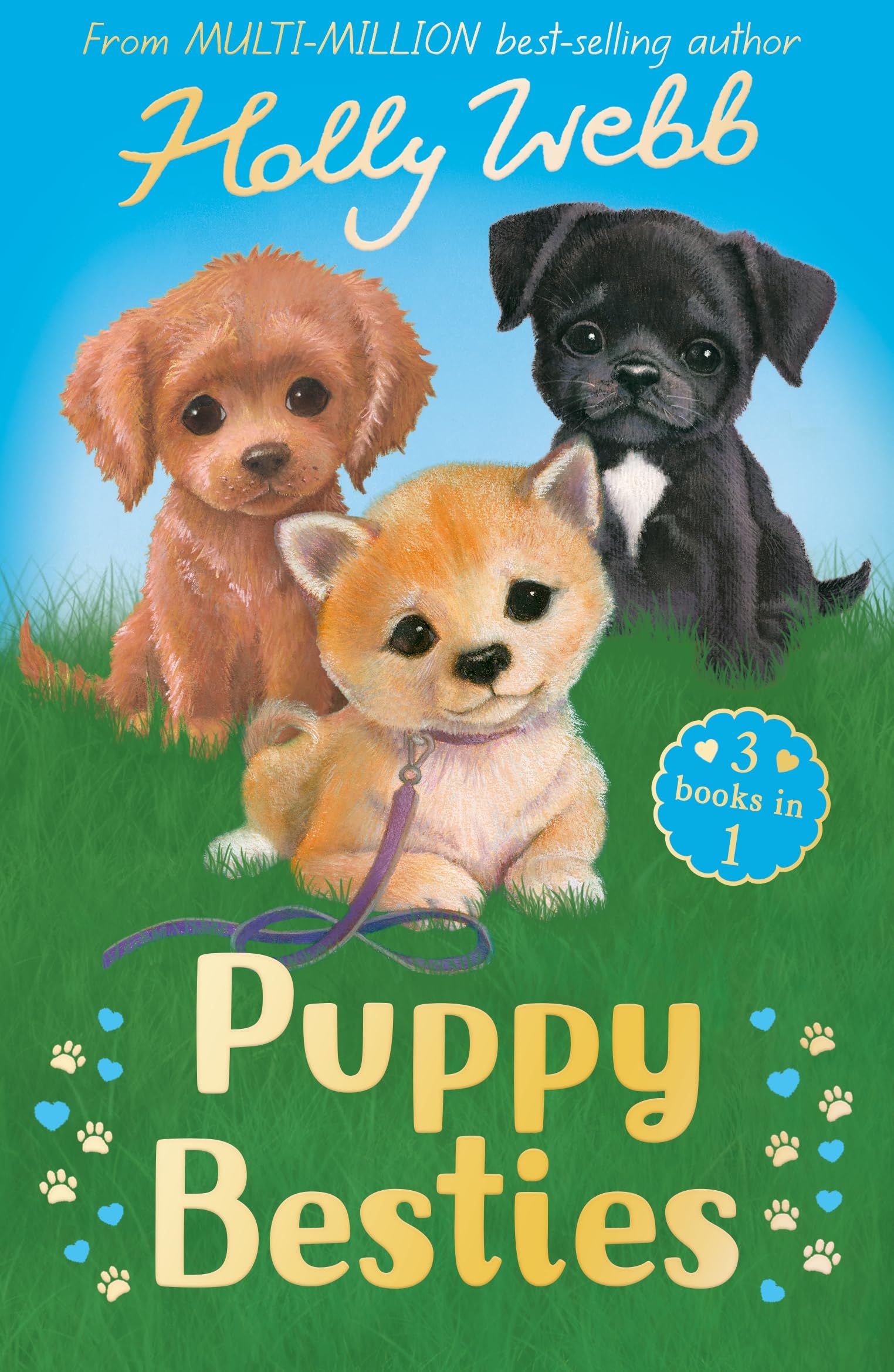 Puppy Besties: The Puppy Who Ran Away, The Puppy Who Couldn't Sleep, The Forgotten Puppy (Holly Webb: Animal Stories)