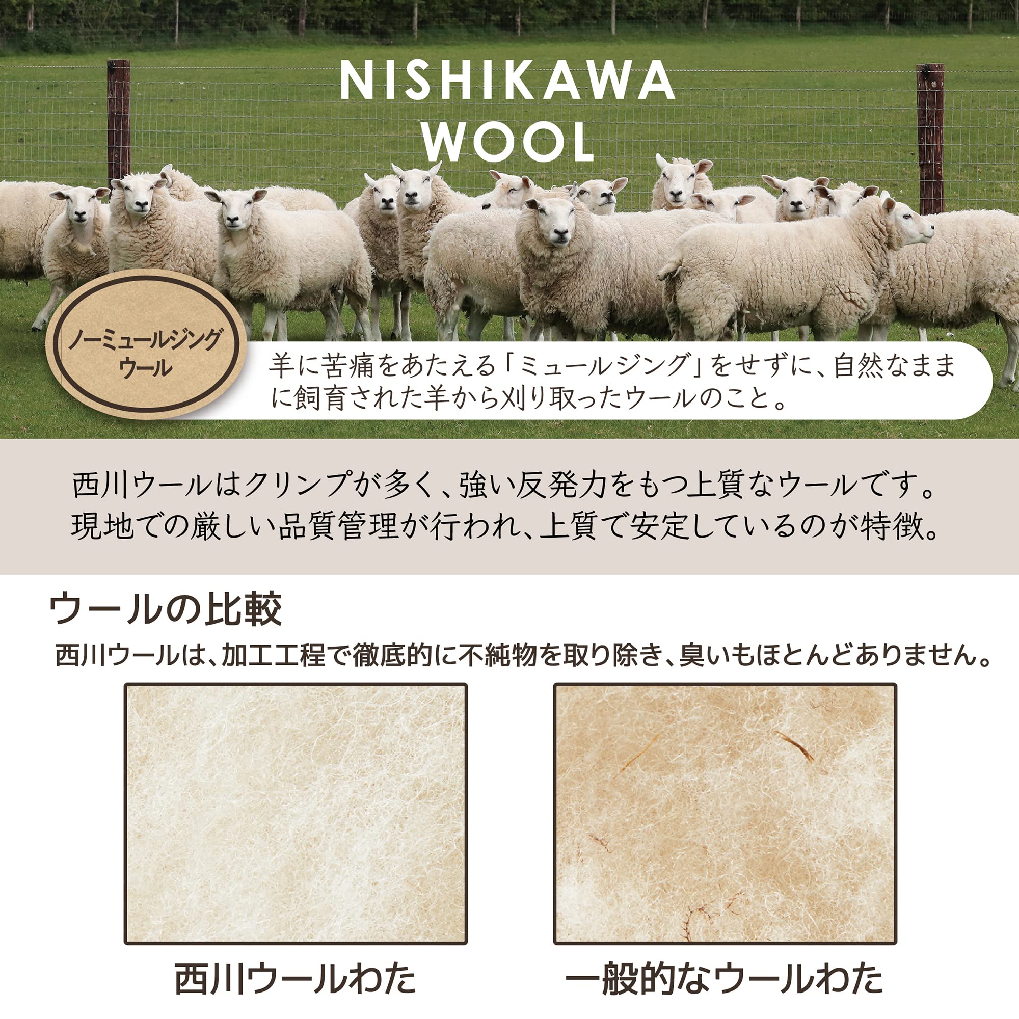 Amazon｜nishikawa【西川】 クラシノ 敷布団 シングル やわらかくて