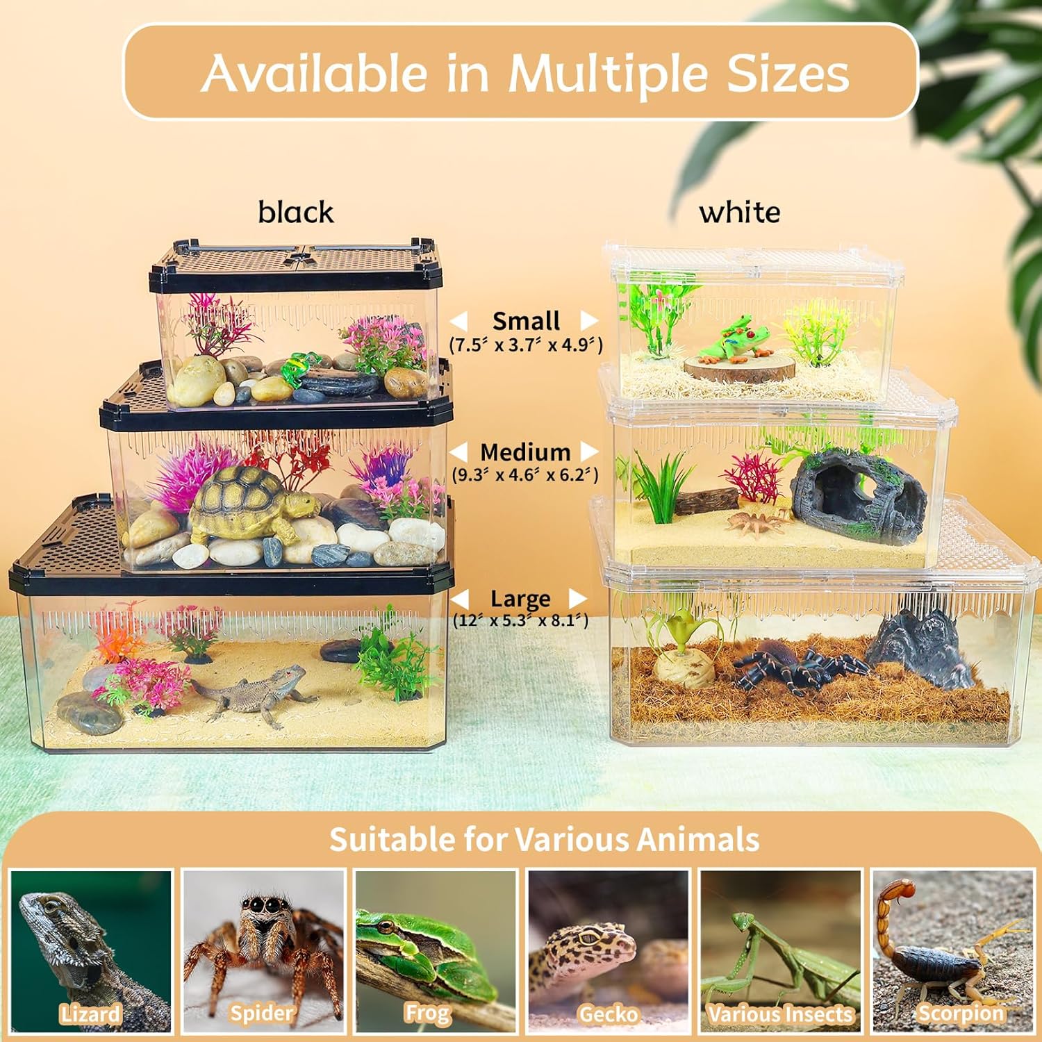 High-Transparency Reptile & Insect Enclosure Terrarium with Magnetic Door, Excellent Ventilation, Easy Cleaning, and Strong, Long-Lasting Build for Cricket,Frog,Gecko(White, 9.3x6.2x4.6 Inch)