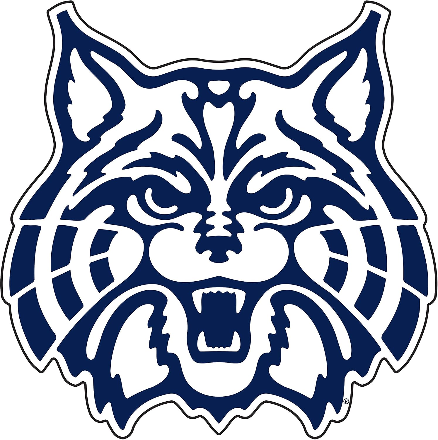 Arizona Wildcats Magnet