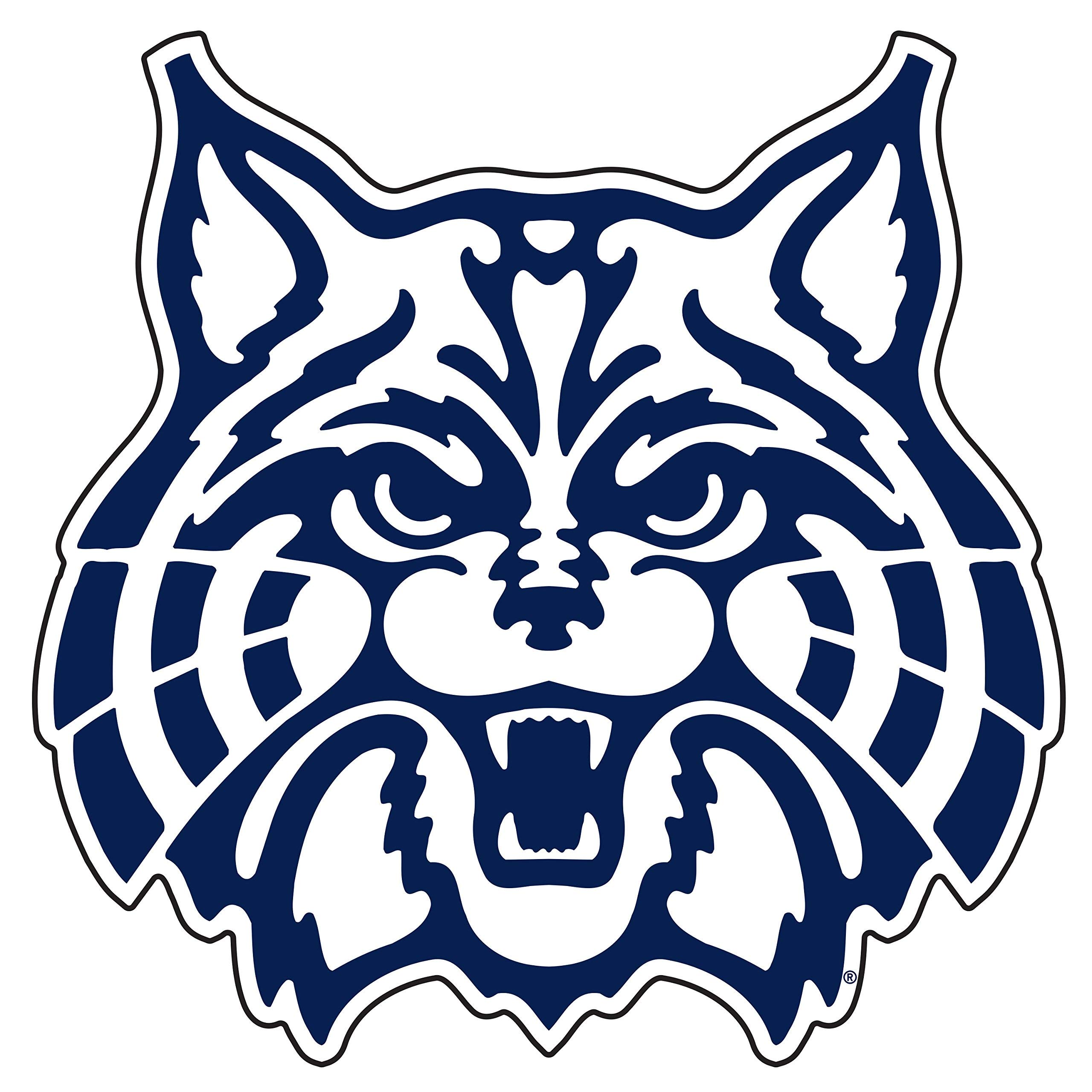 Arizona Wildcats Magnet (WILDCAT MAGNET (3