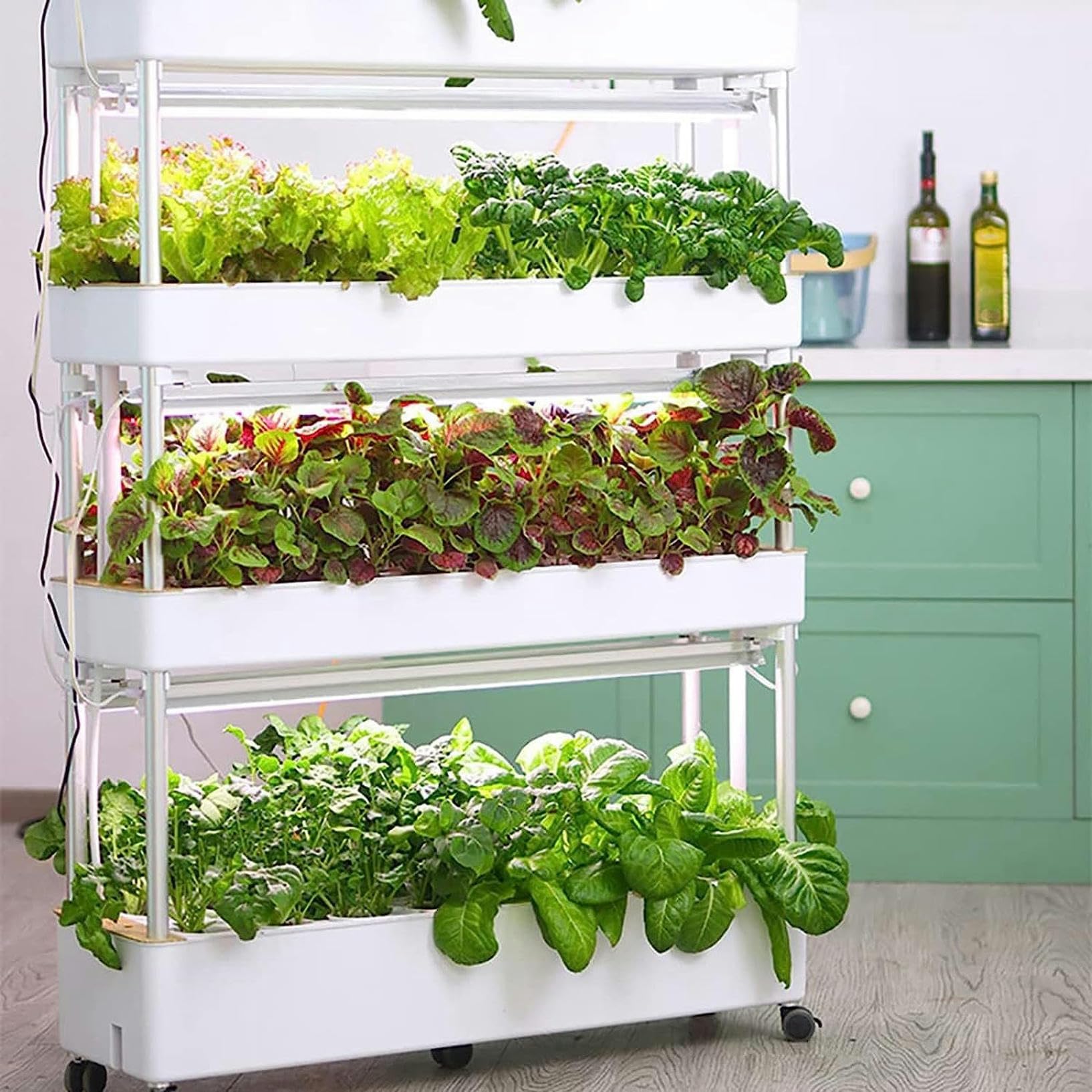 水耕栽培システム室内 植物育成 水耕栽培キット 庭の水耕栽培システム