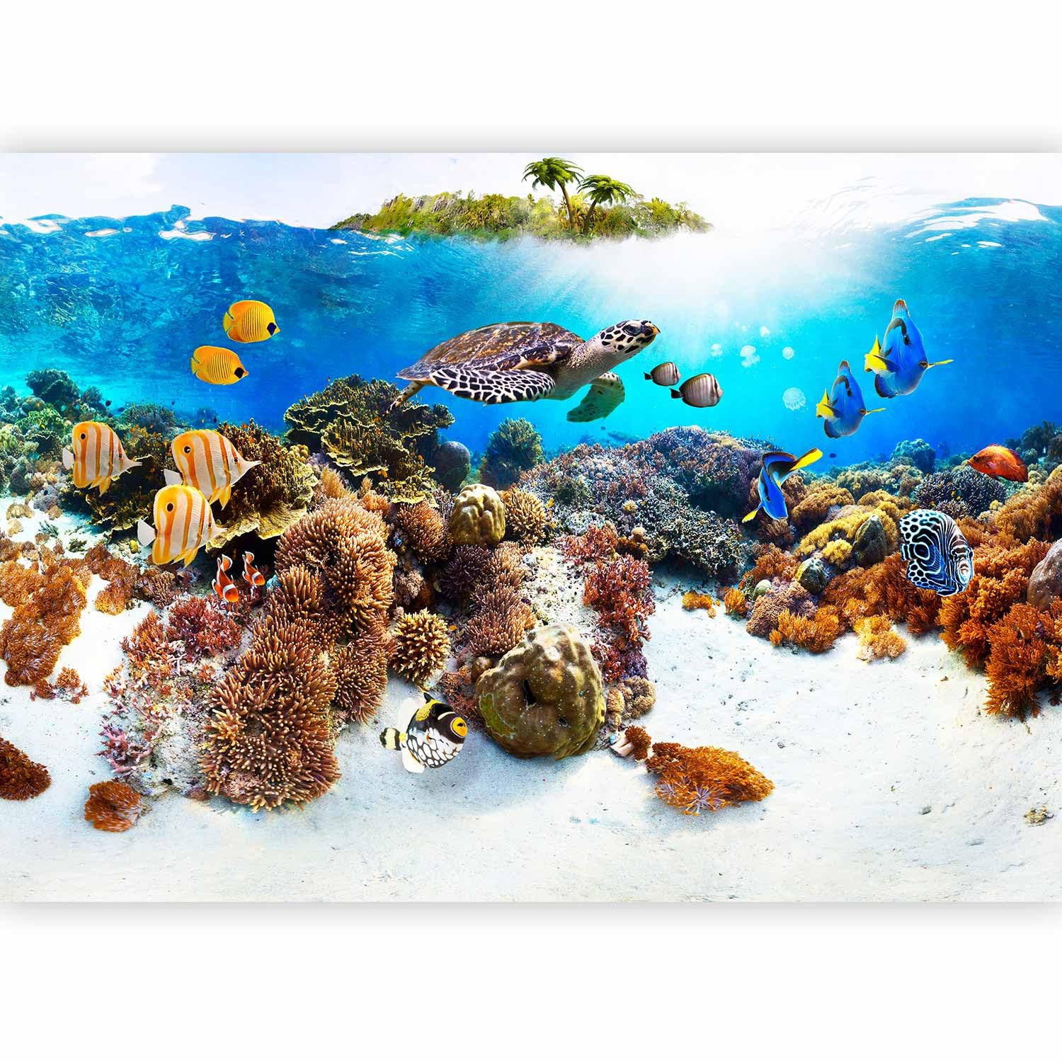 Fotomurales B&D XXL - 400x280 cm XXL Papel pintado tejido no tejido Decoración de Pared decorativos Murales moderna de Diseno Fotográfico naturaleza agua 10110903-48