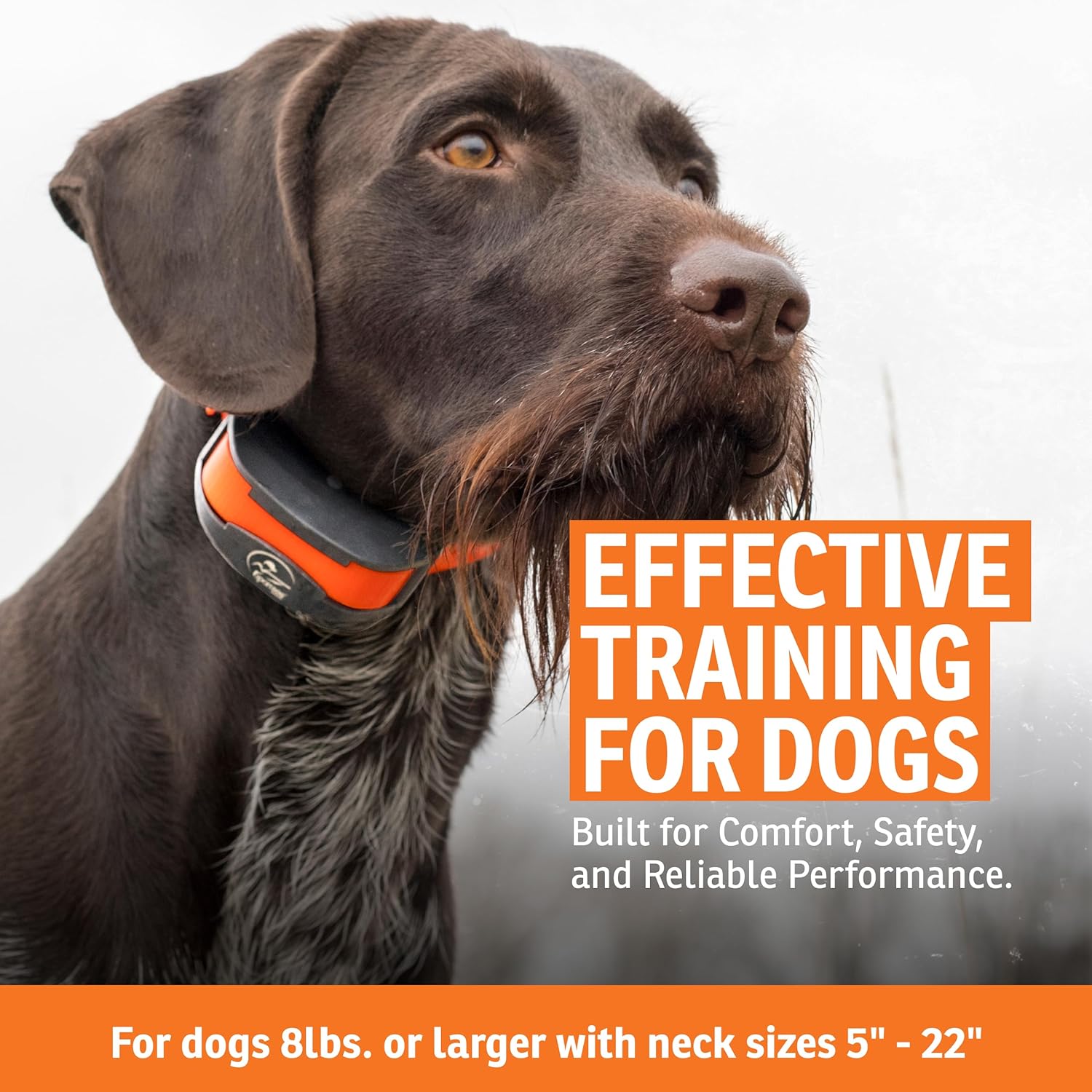 SportDOG SportTrainer 1275 Remote Trainer - Reliable Off-Leash Control - Quick-Charge Collar - Waterproof Dog Training Collar - OLED Display - 3/4-Mile Range - Orange