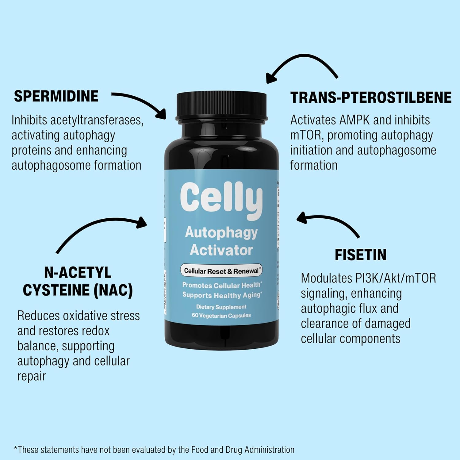 Celly Autophagy Activator | Longevity Supplement for Cellular Nutrition and Healthy Aging | Promotes Cell Renewal with Spermidine, Pterostilbene, Fisetin, and NAC | Made in USA & 3rd Party Tested - Image 3