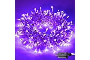 JMEXSUSS Purple Mardi Gras Christmas Lights