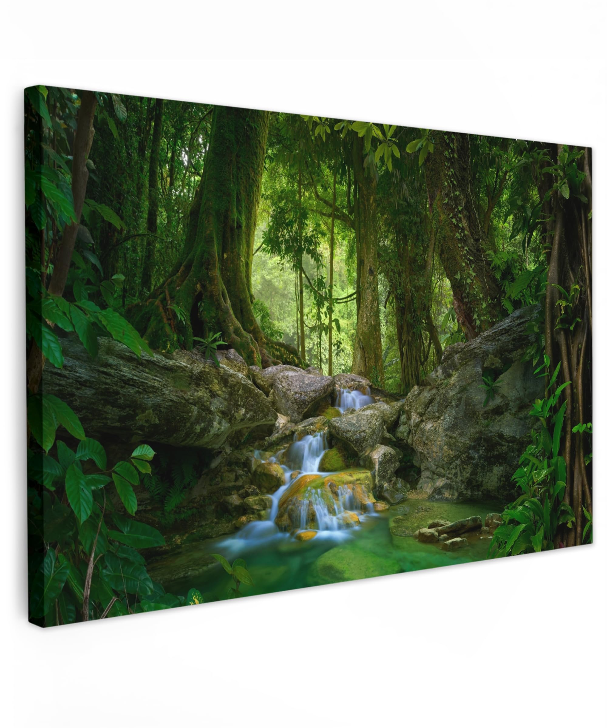 MuchoWow© Canvas Wall Art 24"x16" / 60x40 cm Decor Paintings Prints framed on Canvas Decorations Wallart Jungle - Stones - Water - Nature - Plants