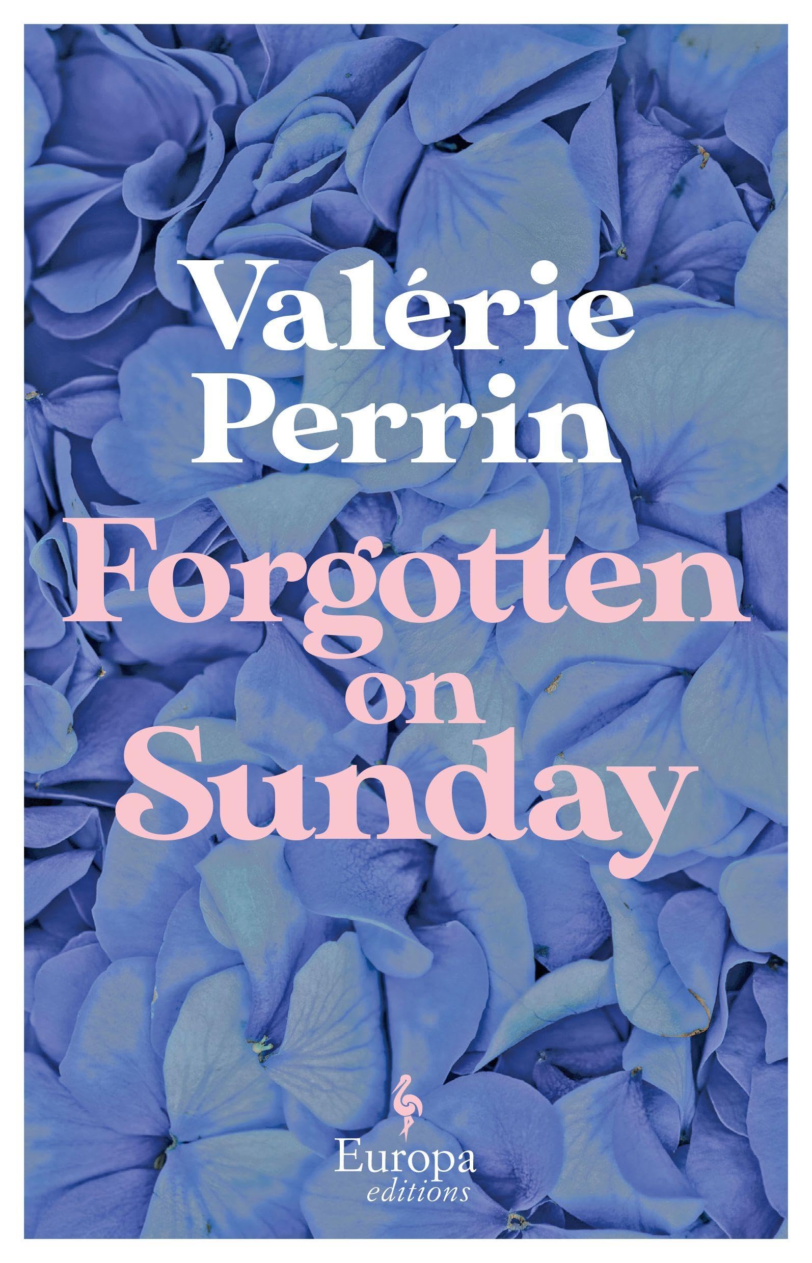 Forgotten on Sunday From the million copy bestselling author of Fresh Water f...