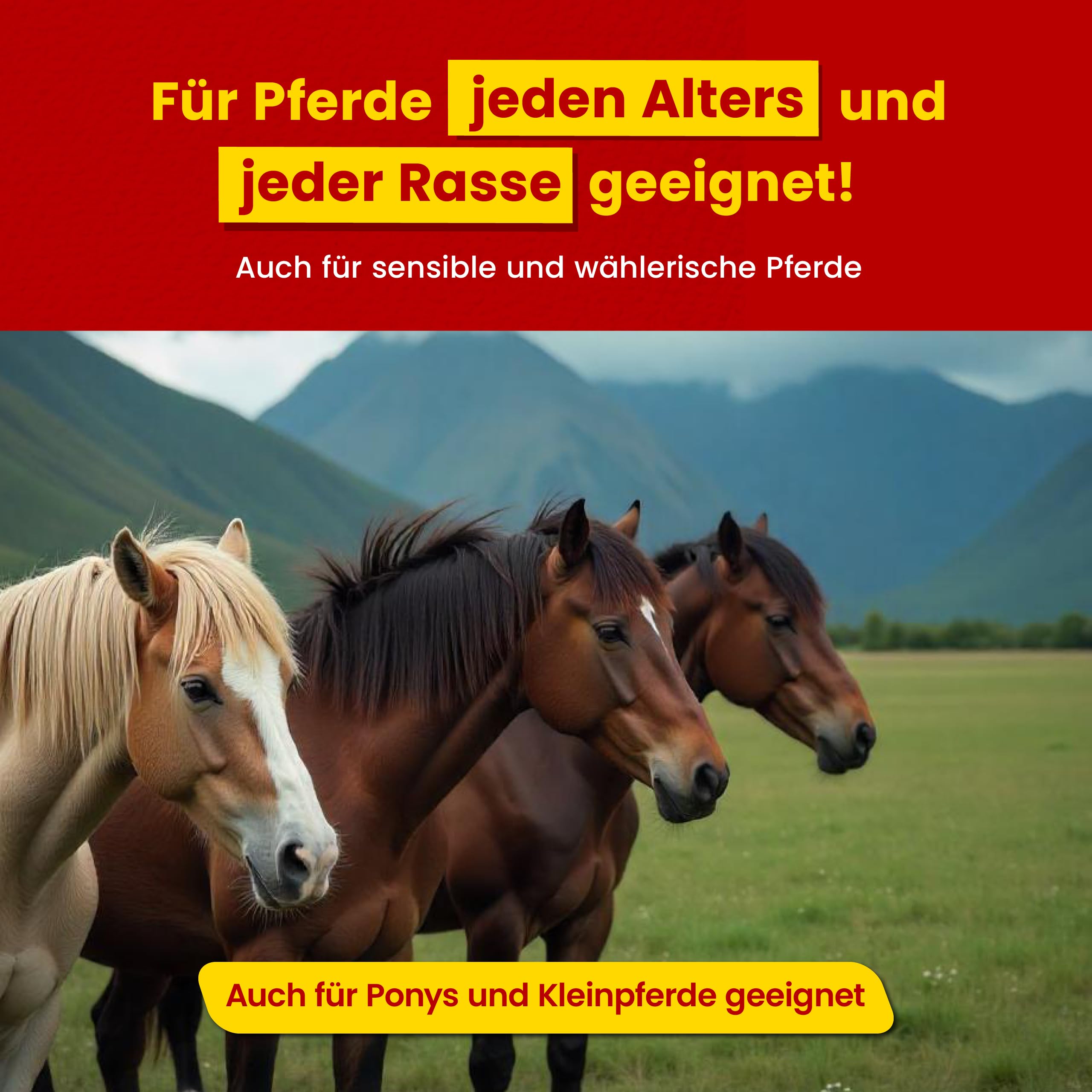 Scheidler horse-direkt Mönchspfeffer Liquid für Pferde 2500ml Hochdosiert – 100% Natürliches Ergänzungsfuttermittel für Pferde – Premium Sud aus Mönchspfeffer - Qualität aus Deutschland