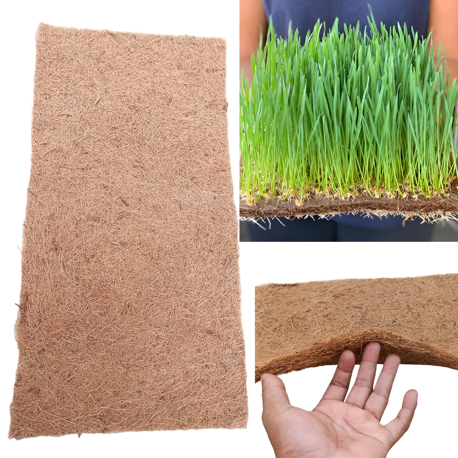 N.G.M.AGROCARE Cat Grass/Wheat Grass Growing Coco mat 24 inch x 12inch, 6-8mm Thick mat, Perfect for Microgreen Pure Natural Product (Pack of 2) (B0DF5QCK4F) Amazon Price History, Amazon Price Tracker