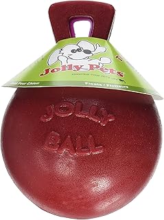 Jolly Pets Tug-N-Toss Ball