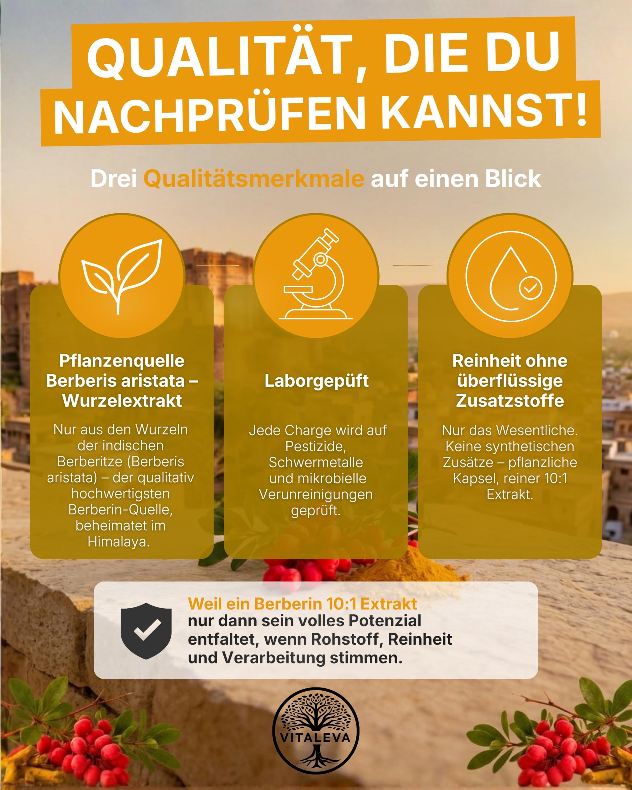 Berberin Kapseln I 10:1 Extrakt I 120 Kapseln I 1.000 mg pro Portion I Pflanzenextrakt aus Berberis Aristata I Vegan, laktosefrei & glutenfrei I Natürliche Nahrungsergänzung für 60 Tage