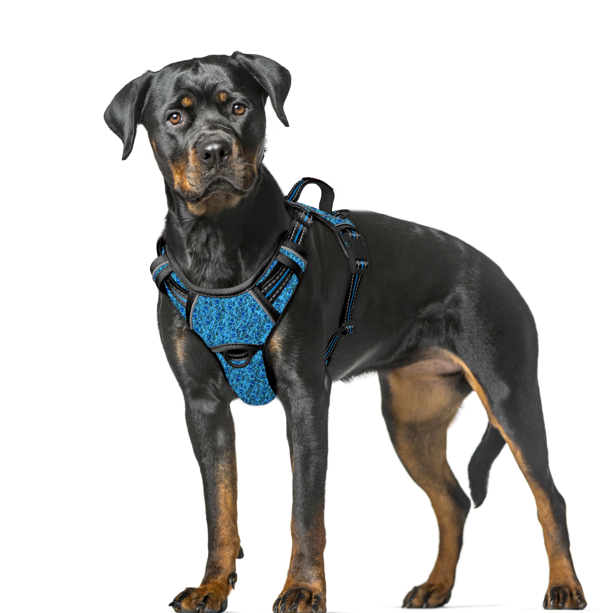 BARKBAY No Pull Dog Harness Large Reflective Dog Harness with Front Clip and Easy Control Handle for Walking Training Running with ID tag Pocket(Blue/