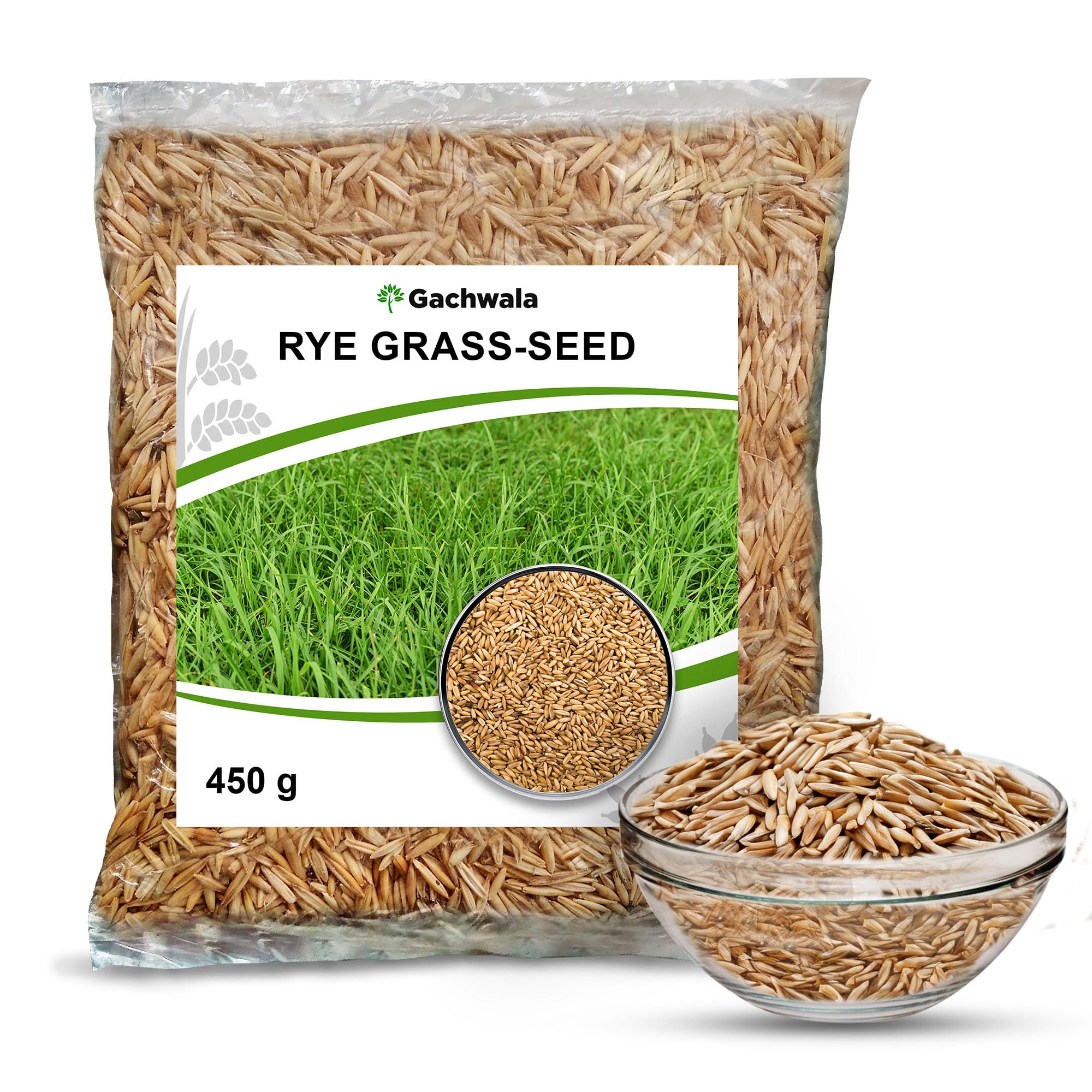 Gachwala Rye Grass Seeds 450gm - Fast-Growing Lush Greenery for Vibrant Lawns and Landscapes - Enhance Your Landscape with Organic Rye Grass Seeds (B0CY5MRGJ8) Amazon Price History, Amazon Price Tracker