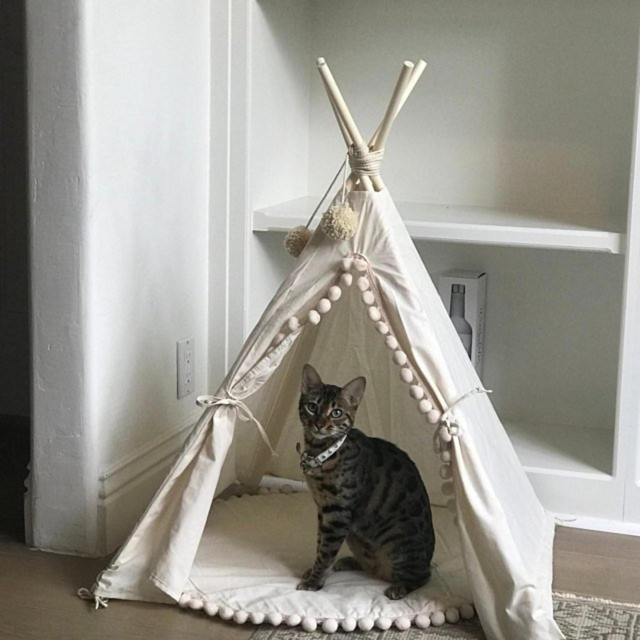 Lit Moderne pour Chien, Tipi pour Chien, Lit pour Chat, Tipi pour Chat, Tipi pour Animaux de Compagnie, Lits pour Chiens en Coton Naturel et Bois, Fabriqués dans l'UE ! (Taille M)