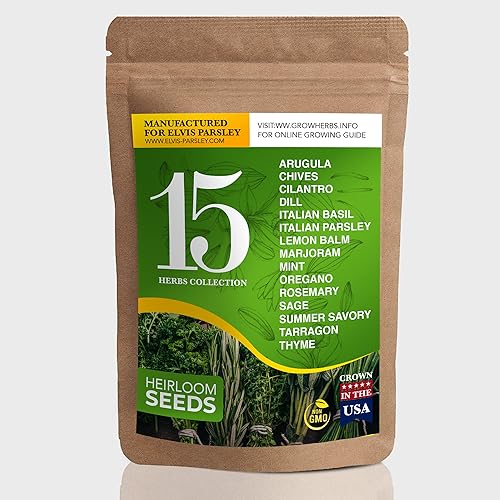Paquete de 15 semillas de hierbas culinarias Heirloom y no transgénicos, cultivadas en Estados Unidos jardín interior o exterior albahaca,