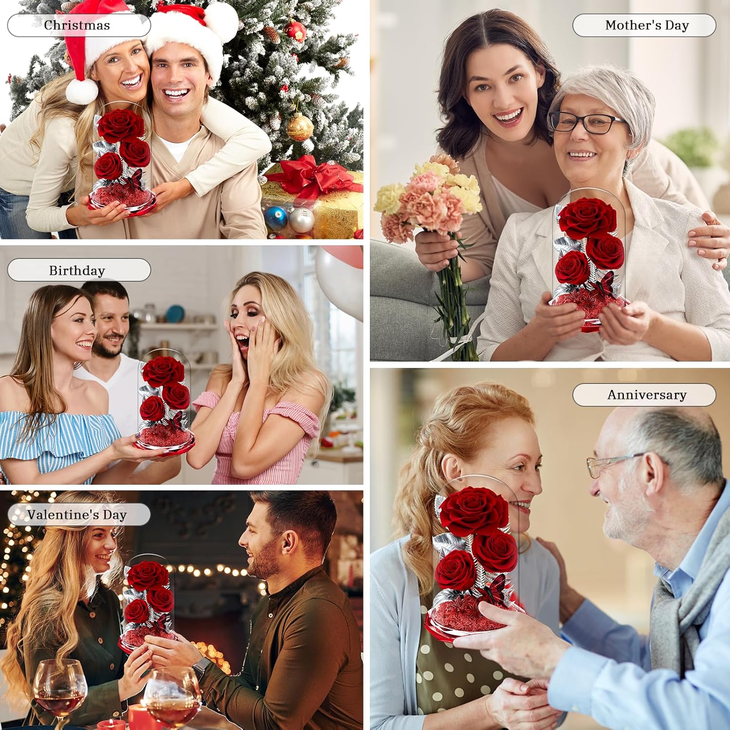 Forever Roses in Glass Dome - Preserved Flowers,Birthday for Her Women Valentine's Day, Mother's Day, Anniversary A-Grade Red Roses, Home Decor for Girlfriend,Wife, Mom (Red)