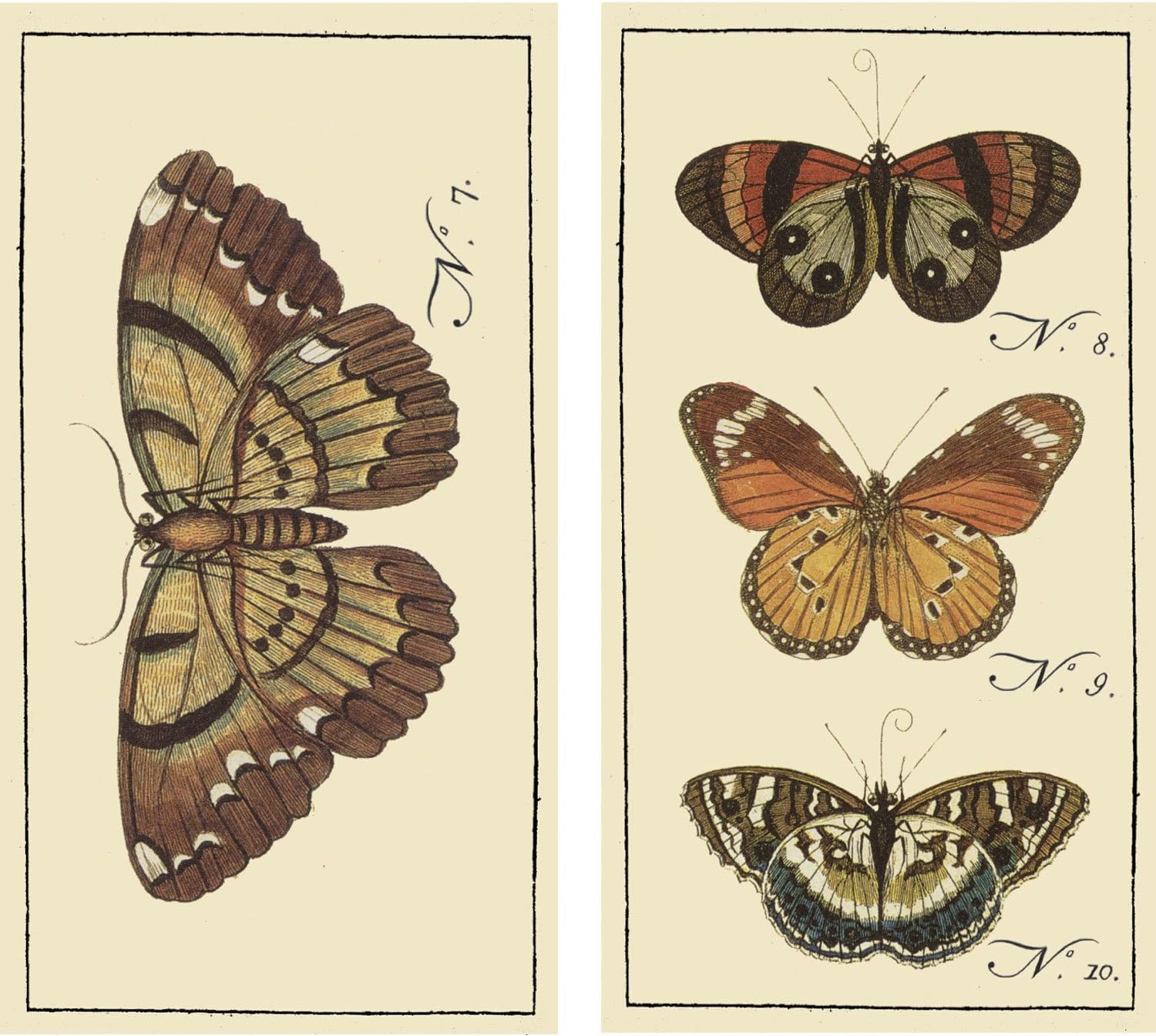 HomArt Large Decorative Butterfly Insect Matches