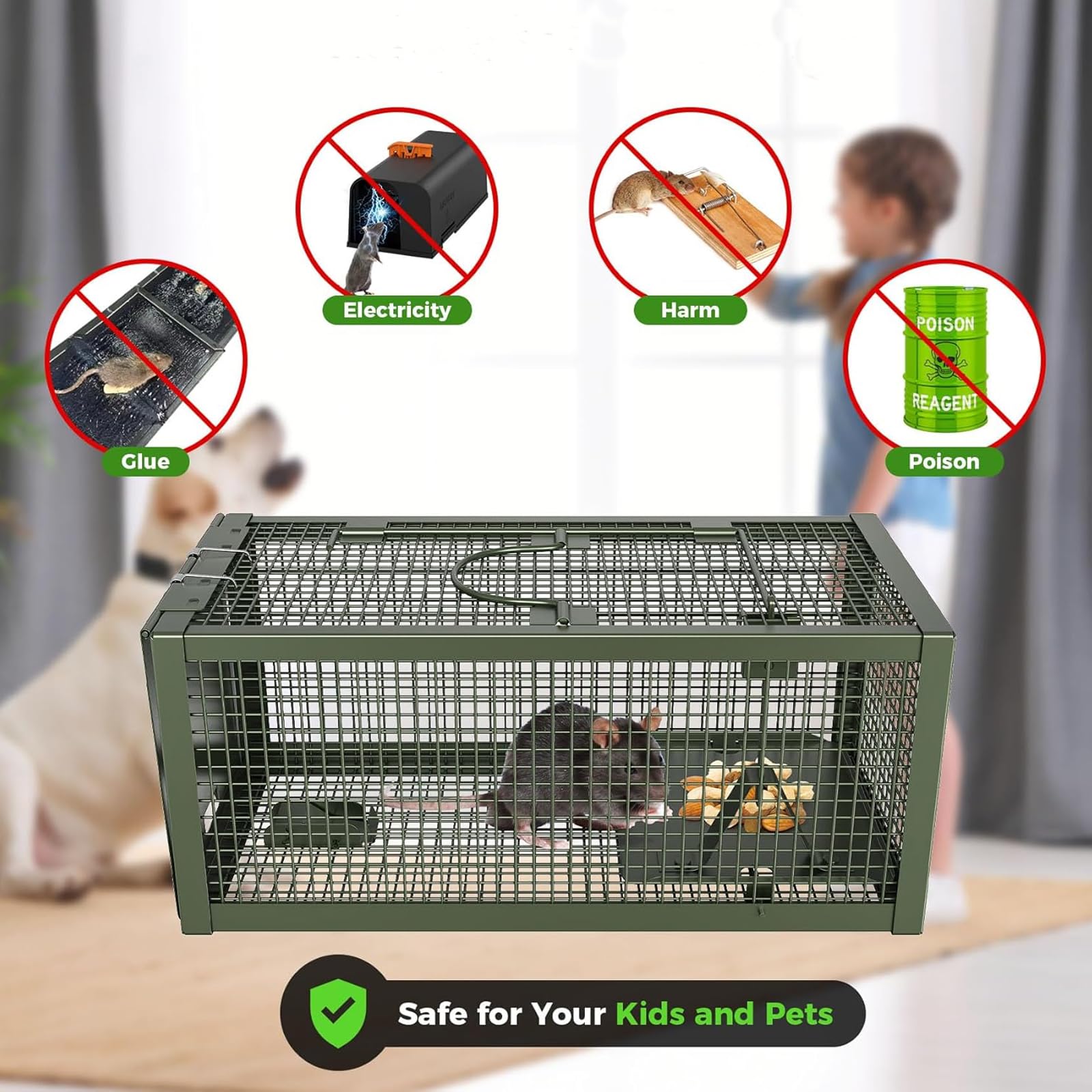Lebendfalle Mausefalle,Premium Profi Lebendfalle XL: Humane Maus- & Rattenfalle aus Kaltgezogenem Stahldraht – Für Kleine Nagetiere (Mäuse, Wühlmäuse, Feldmäuse) (Green)