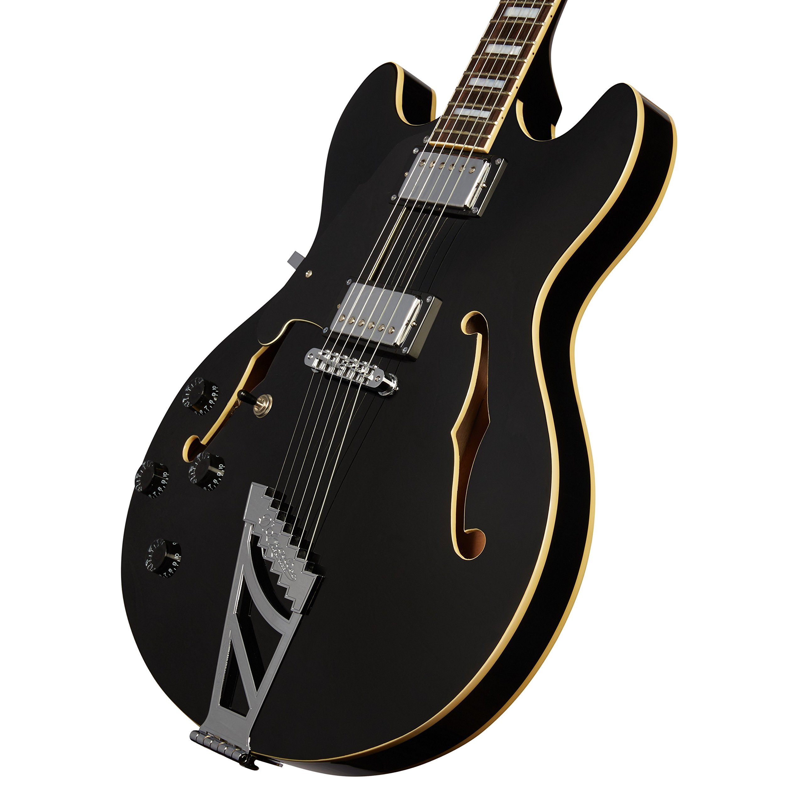 Amazon.com: D'Angelico Premier DC Semi-Hollow Lefty Electric