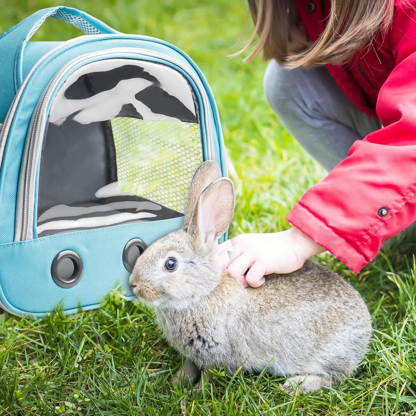 Caisse de Transport pour Lapin, 30x21x27cm - Sac de Transport pour Chat, Cochon d'Inde, Sac de Voyage Pliable pour Animaux avec Bretelle -Bleu