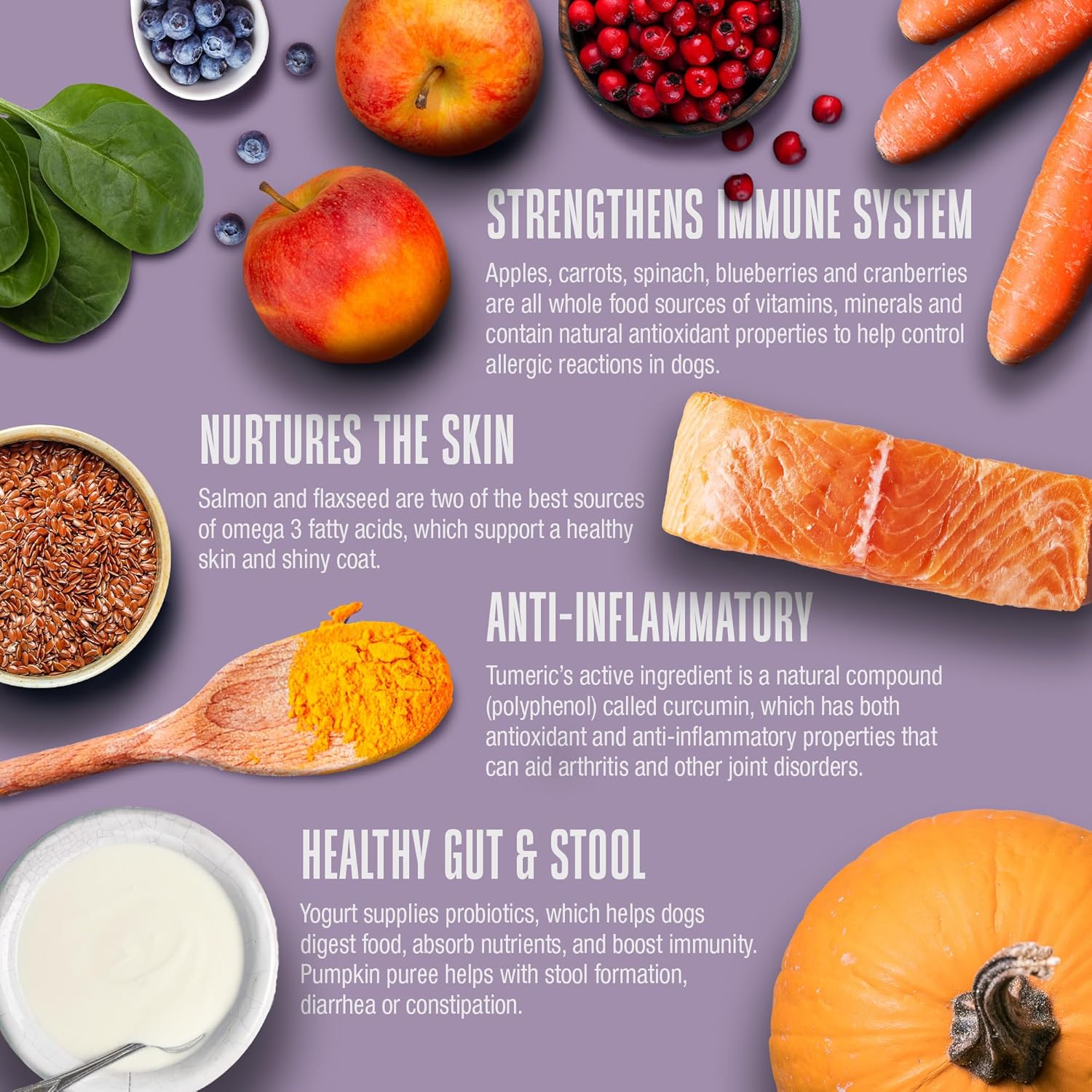 Whole Life 12 oz Whole Body Health Dog Supplement