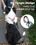 PetBonus Poignée double en laisse pour chien, 5FT Plomb d'entraînement lourd avec crochet verrouillable et 2 Poignées rembourrées confortables, laisse en nylon réfléchissant pour grands chiens moyens (55-200 lbs, noir)
