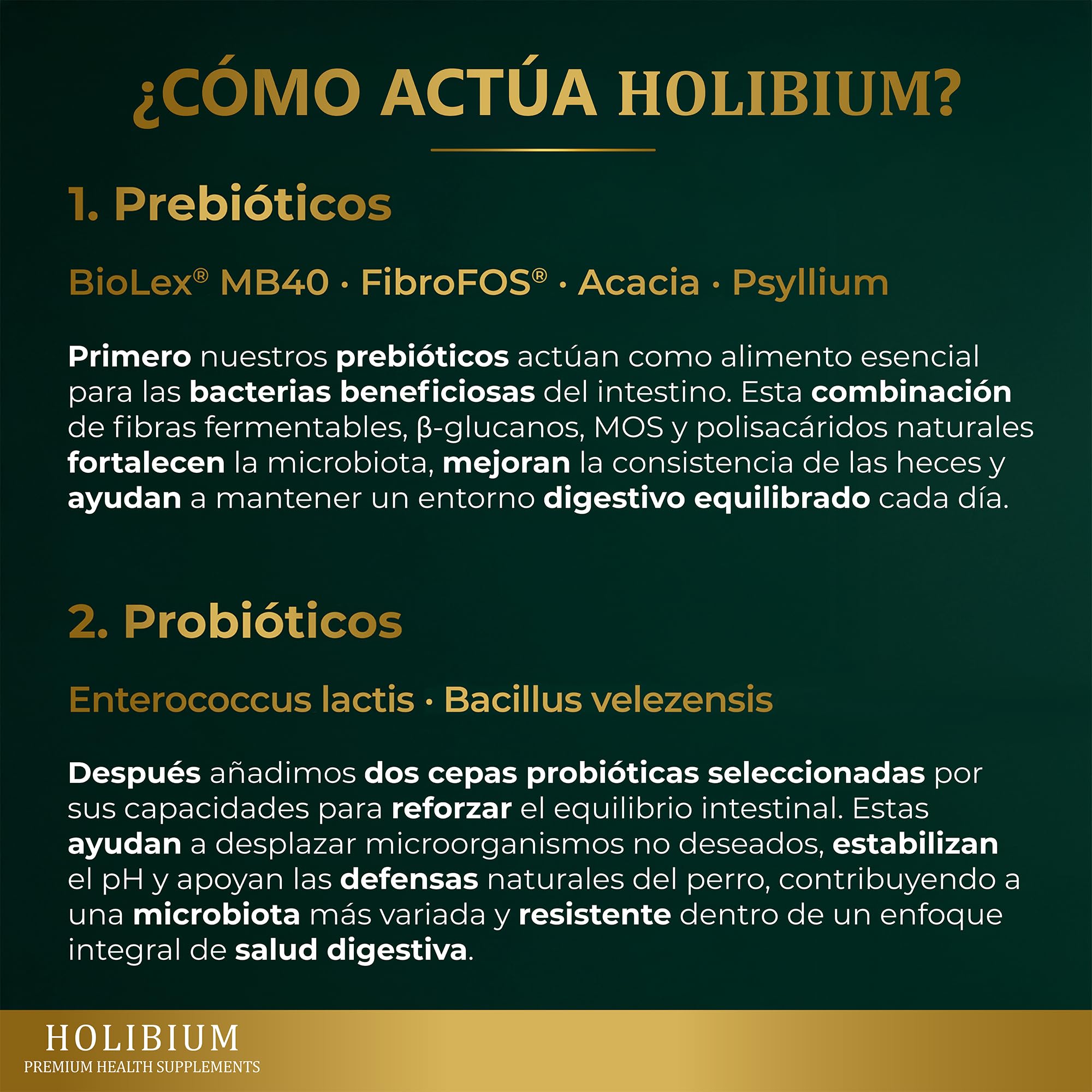 HOLIBIUM Probioticos Perros, 120 uds, Prebióticos, Postbióticos y Probióticos Naturales, Mejora Digestión, Diarrea y Heces Blandas, Suplemento Digestivo Canino para la Flora Intestinal, Sabor Pollo — view 5