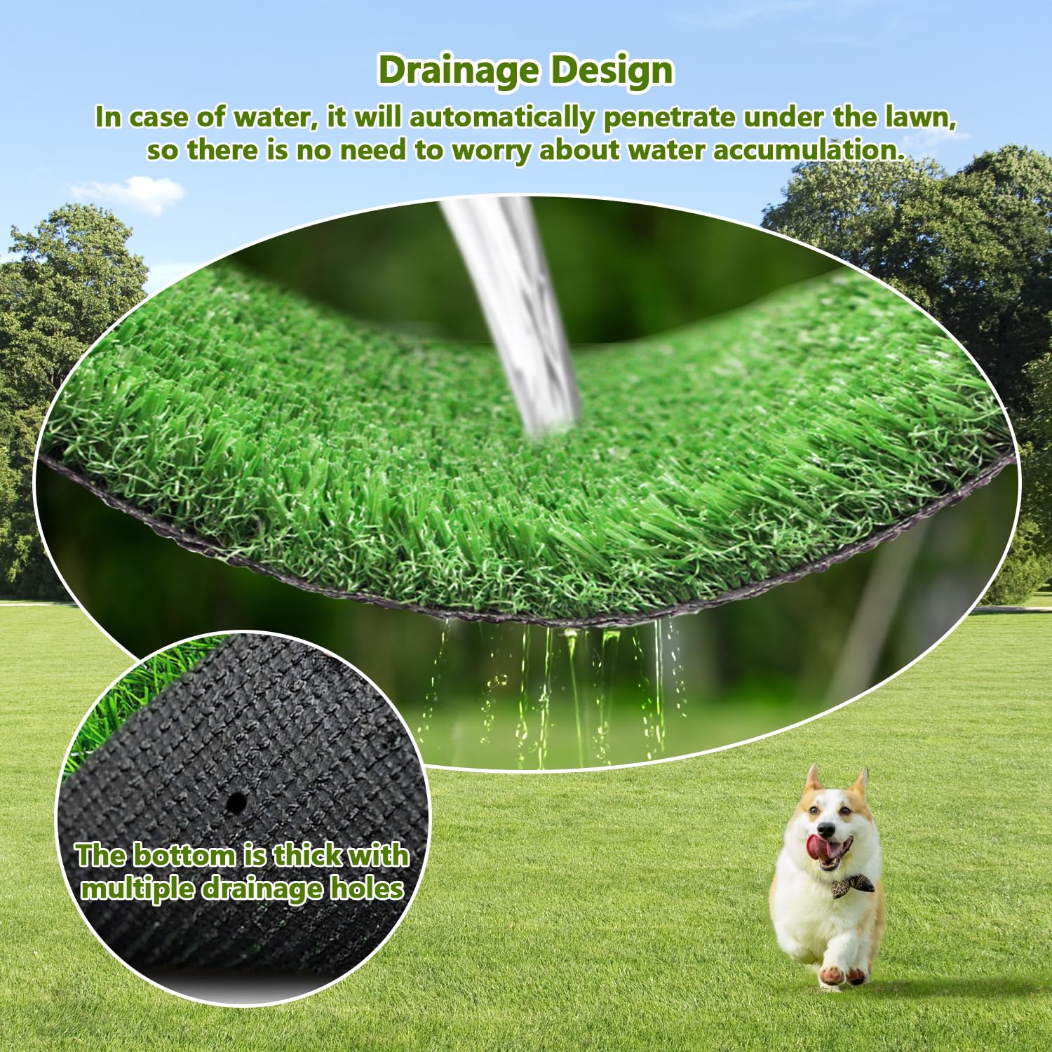 Best Dog Grass Pad for Balcony: Ultimate Comfort & Cleanliness Guide