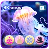 Jellyfish Drift Screensaver – Mesmerizing Ocean Aquarium with Relaxing Sounds, Sleep Timer Countdown
