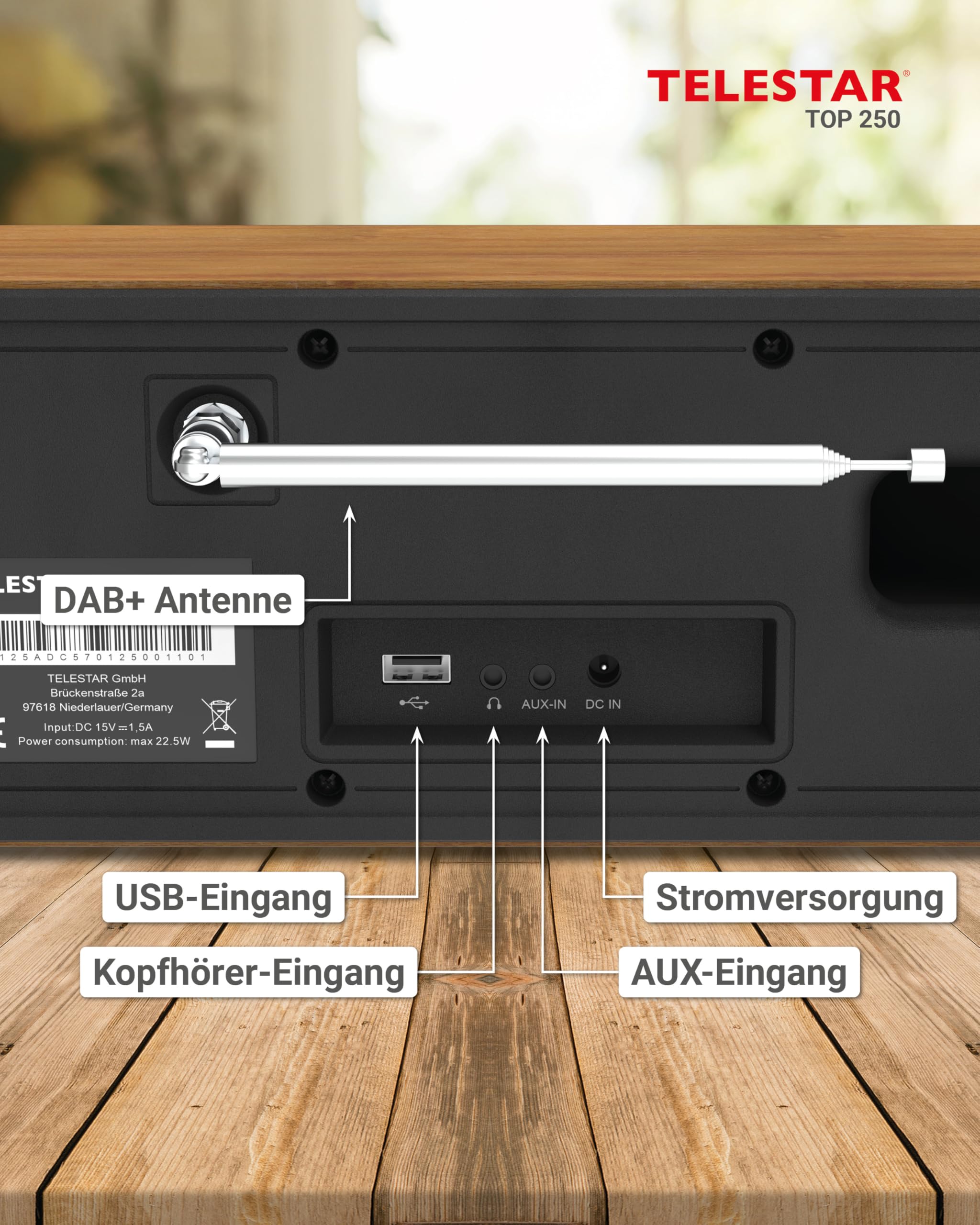 TELESTAR TOP 250 – DAB+/Internetradio, Stereo – Holz | 2 × 10 Watt, Bluetooth Audio-Streaming & Sendefunktion, USB-Aufnahme, Notfallwarnsystem, App-Steuerung