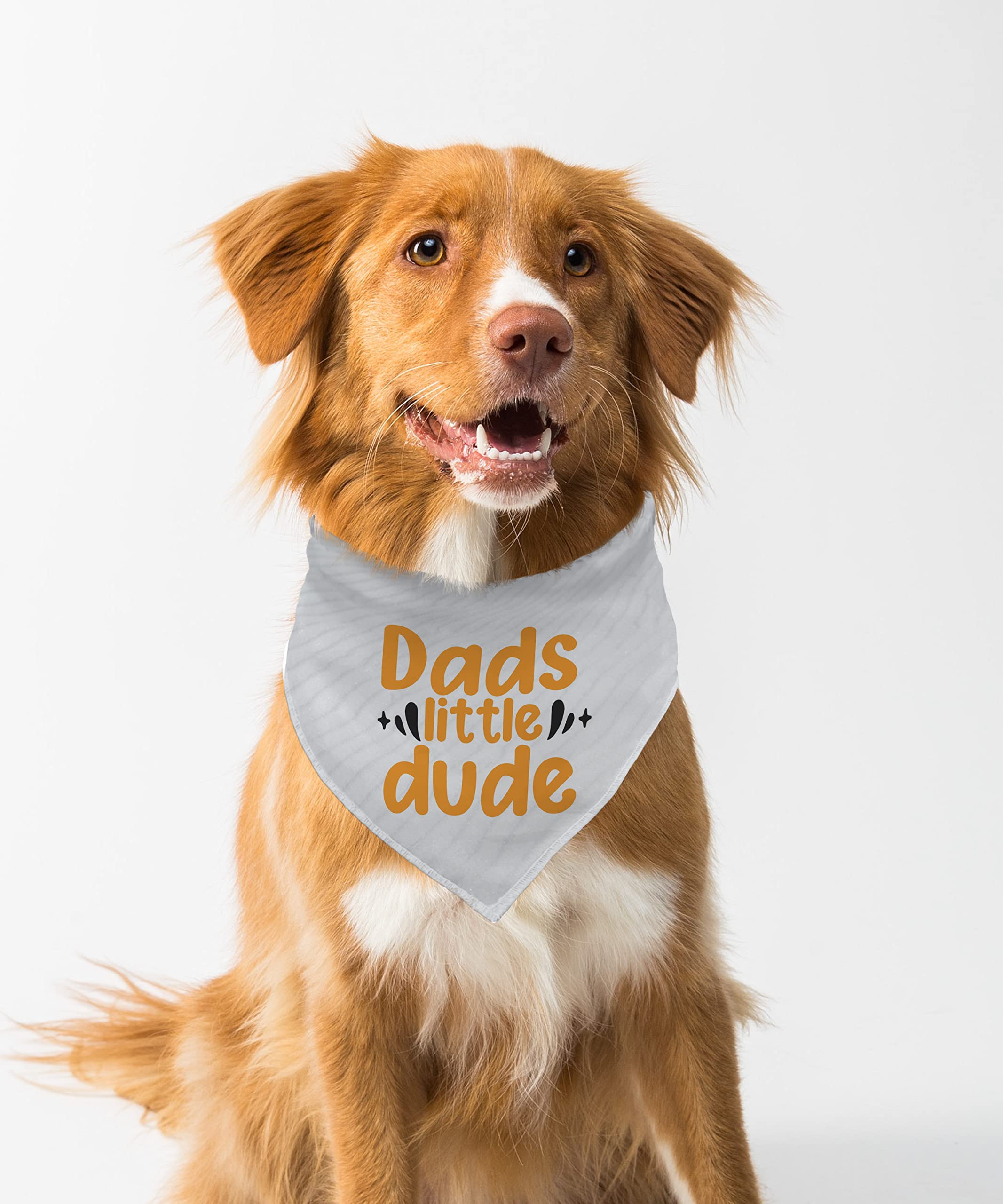 Farnup Adjustable & Comfortable Dog Bandana,Dads Little Dude, Graphic Printed Bandana for Dogs | Dog Scarf, Accessory | Gifts for Dogs-S/M (B0BVHHN76F) Amazon Price History, Amazon Price Tracker