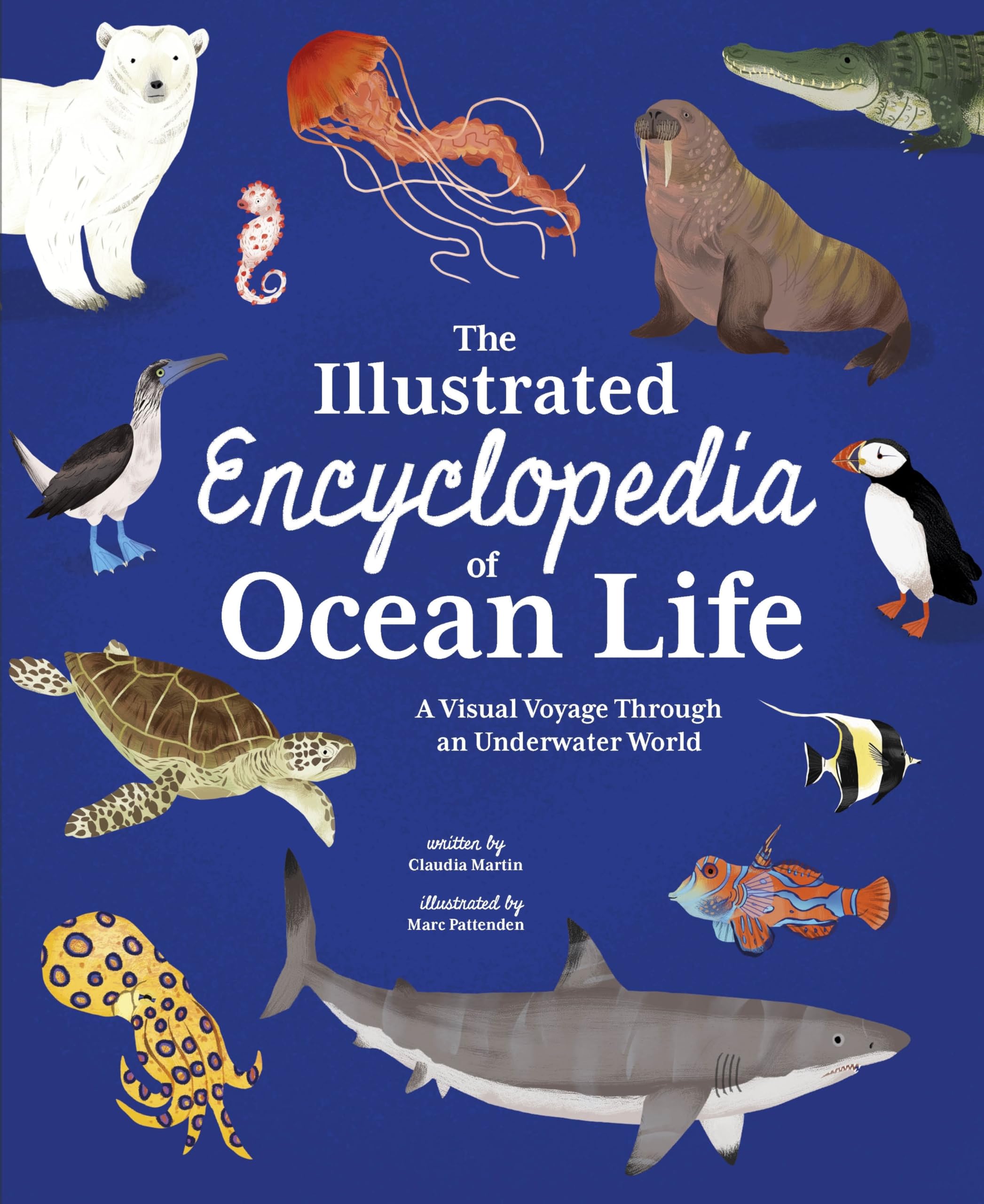 The Illustrated Encyclopedia of Ocean Life: A Visual Voyage Through an Underwater World (Arcturus Illustrated Encyclopedias)