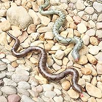 Vista 9 de FUTUREPLUSX Serpientes inflables falsas, 3 piezas inflables inflables de serpientes de piscina de animales para decoración de fiesta de reptiles