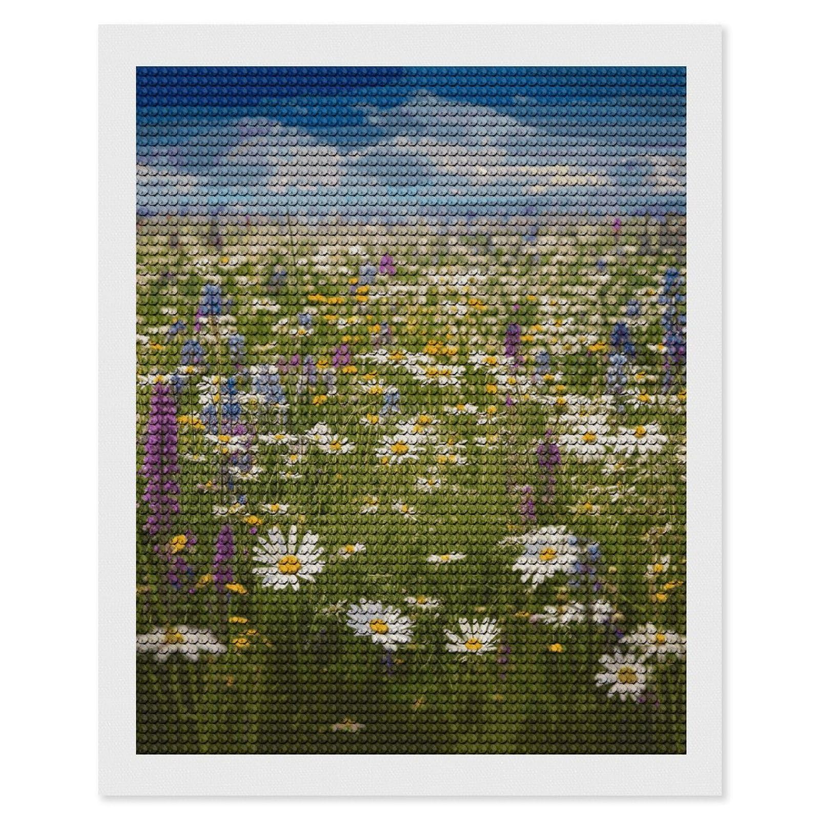 FekiLoot Spring Meadow Flowers Paint by Numbers Kit for Adults Beginner DIY Diamond Dots Paintings Round Full Drill Diamond Art Kits Picture Diamond Art Painting Kits for Home Decor 16"x20"