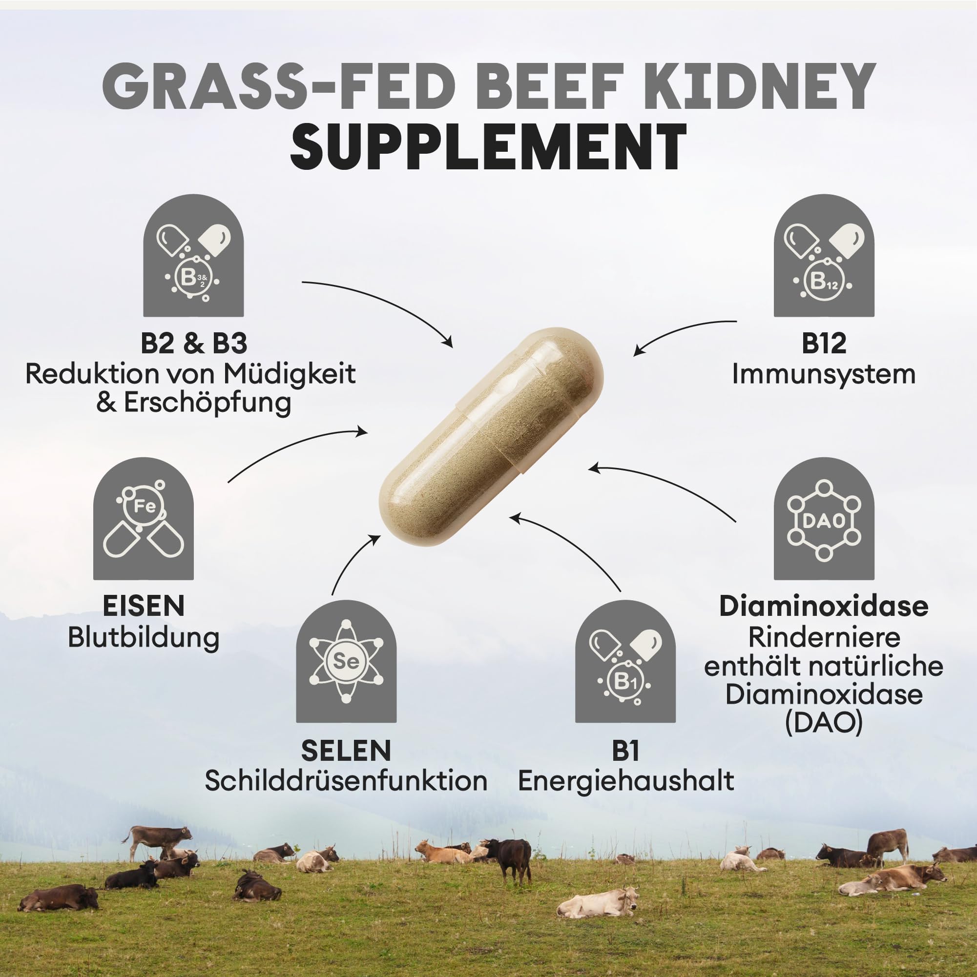 Nutriest Rinderniere Kapseln (240 Stück) – Natürliche DAO-Quelle | Bei Histaminintoleranz | Bio-Rind aus EU-Weidehaltung | Diaminoxidase (DAO) Enzym