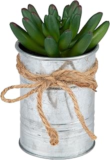 Northlight 5” Artificial Pachyveria Succulent in Tin Can Planter with ...