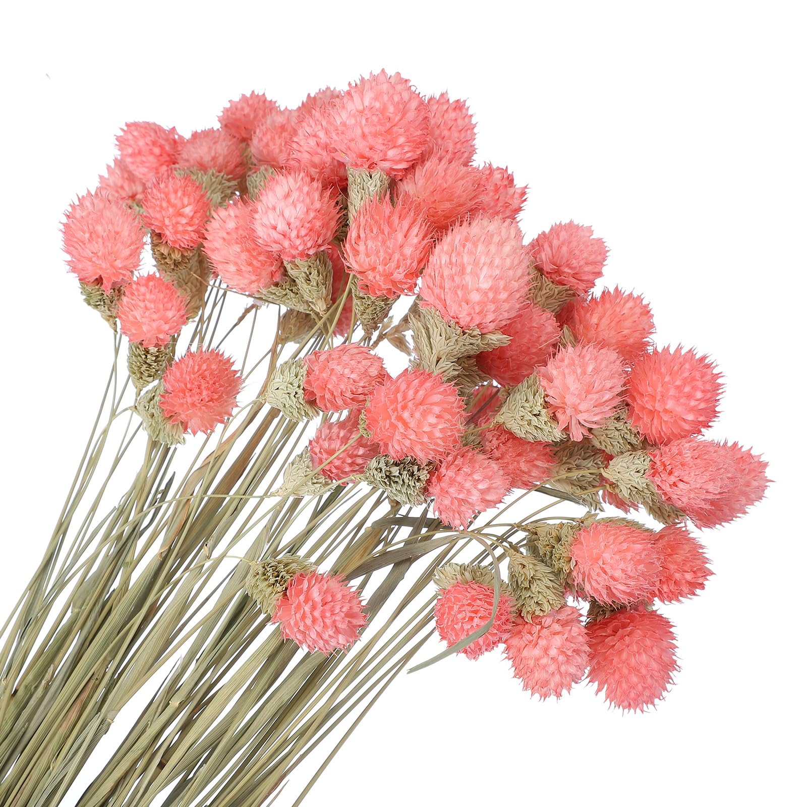 Fleurs séchées pour vase : 60 mini boules de pin rose pour bouquet