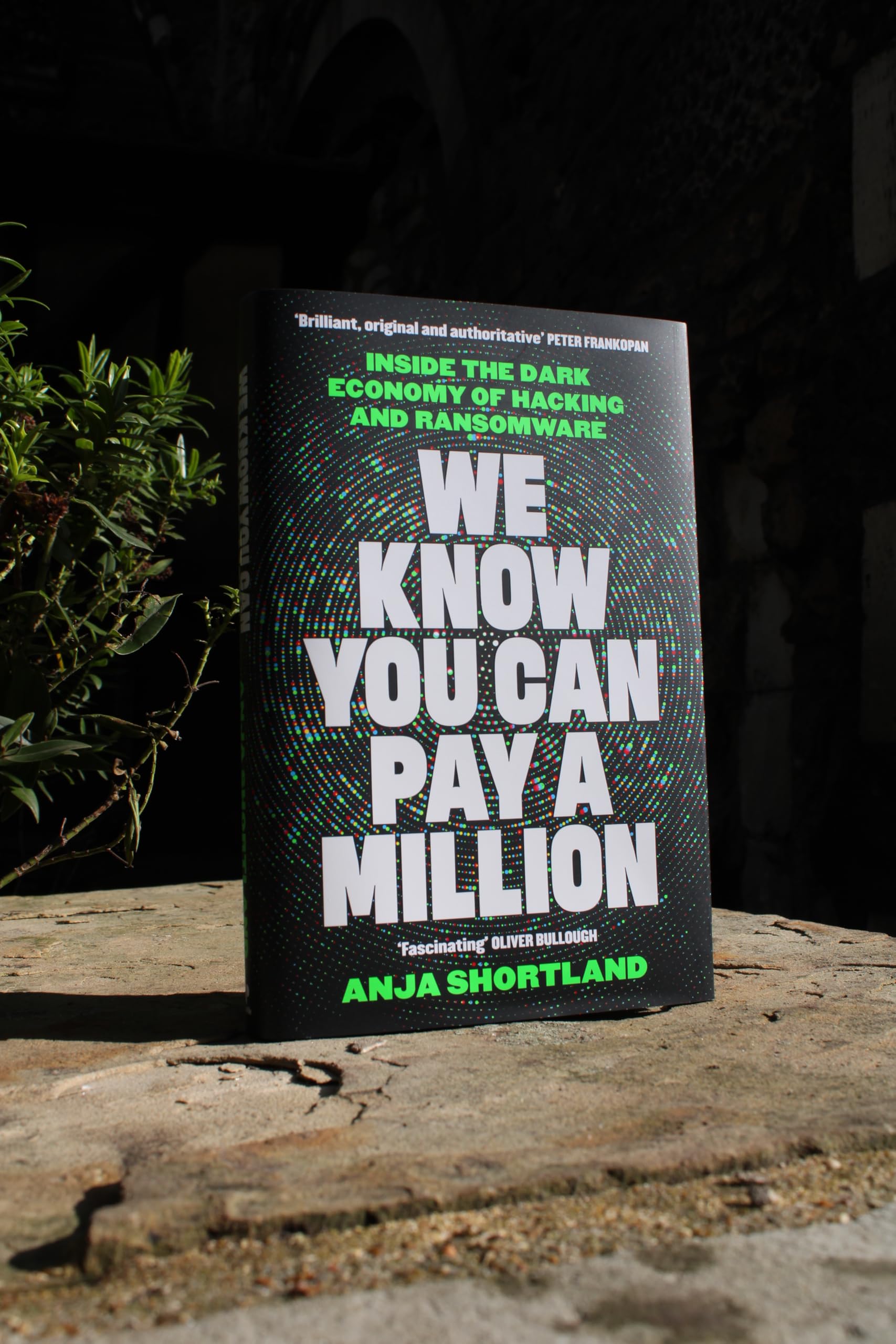 We Know You Can Pay a Million: Inside the Dark Economy of Hacking and Ransomware