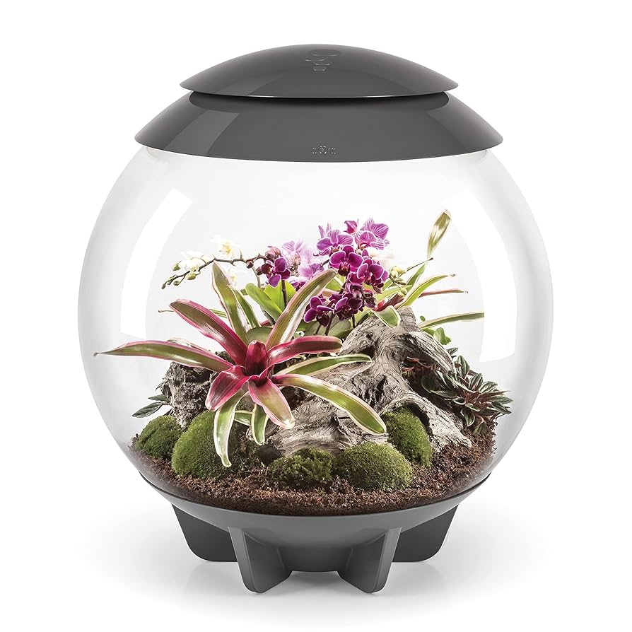 Amazon｜biOrb バイオーブエアー60 No.46148 グレー 植物育成