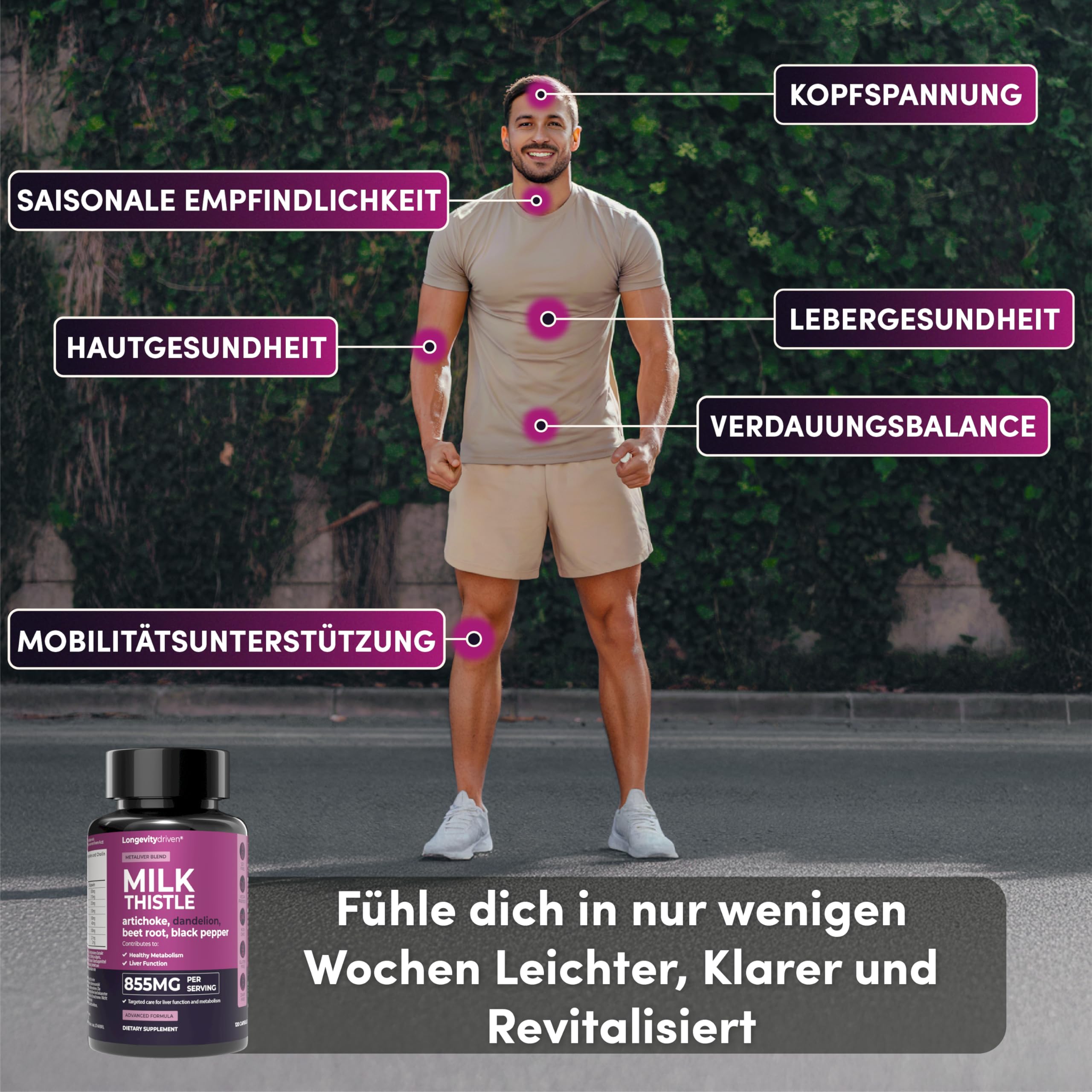 Mariendistel Leber-Komplex Hochdosiert mit Silymarin, Cholin & Artischocke | Cholin trägt zur normalen Leberfunktion & zum Fettstoffwechsel bei; mit Löwenzahn, Rote Bete & Piperin; 120 vegane Kapseln