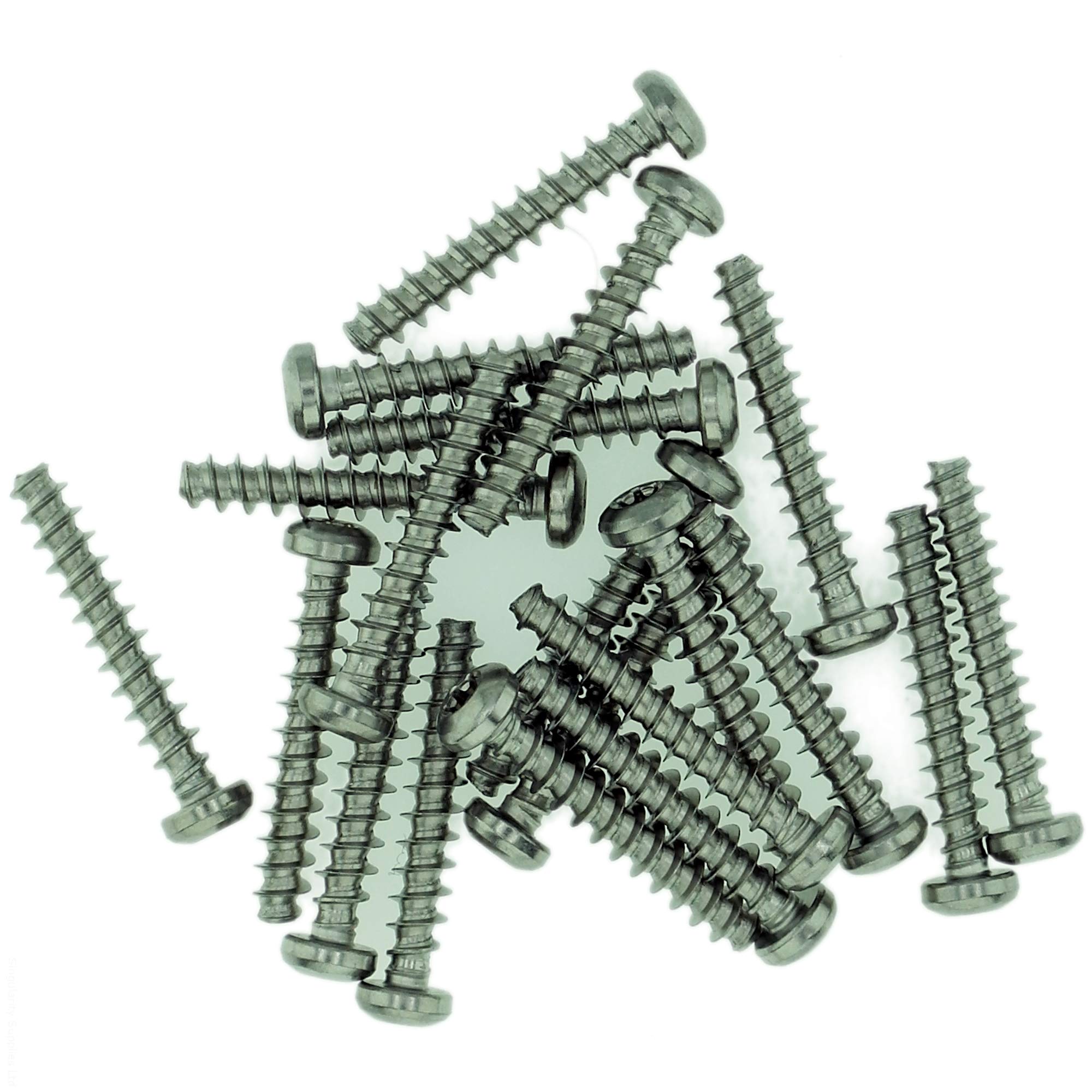 Singularity Supplies Silver D4 (4Mm X 10Mm) Tx Pan Screws For Plastic - Stainless Steel (A2) (Pack Of 20)