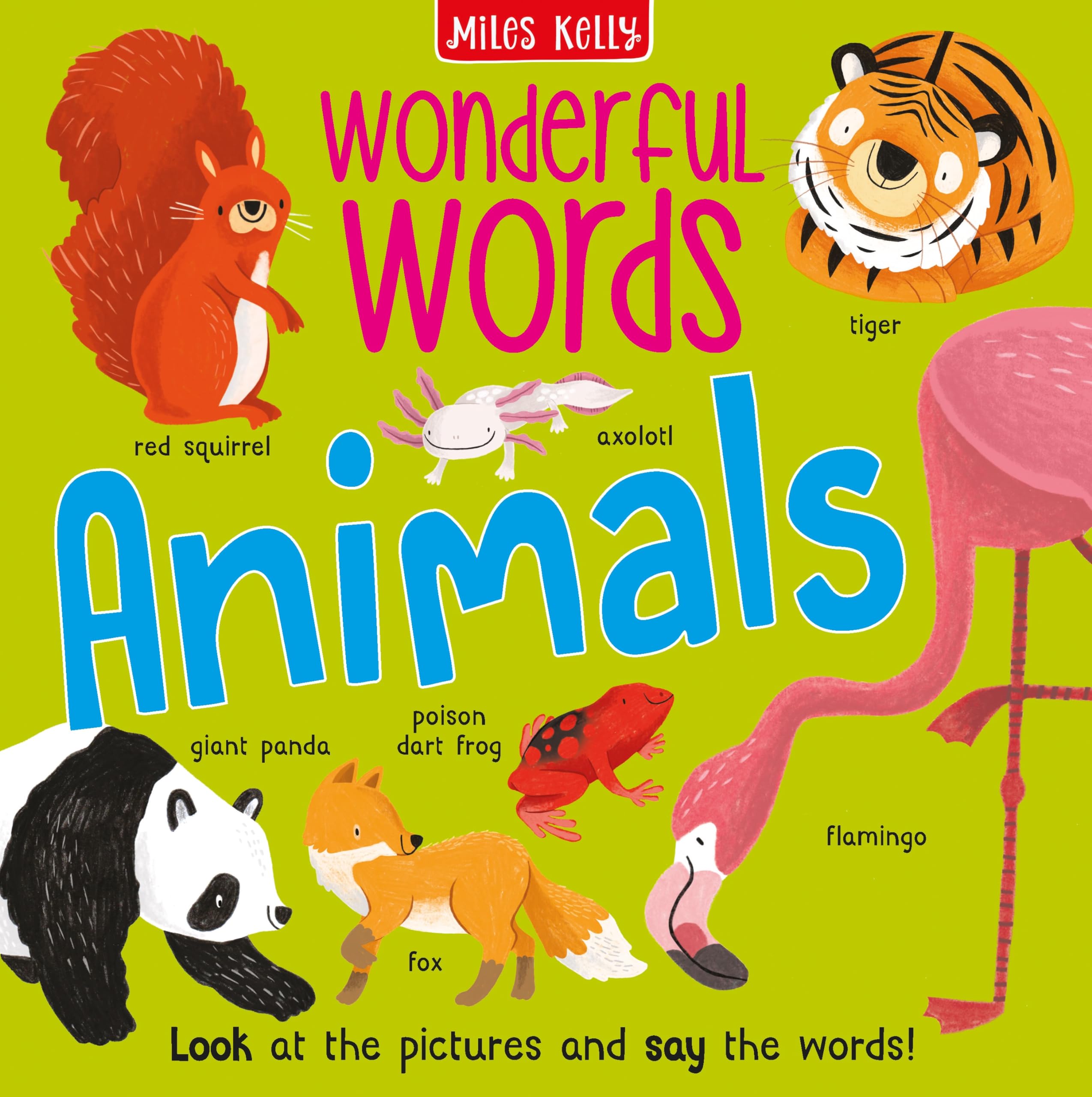 Wonderful Words: Animals: A Vibrant Non-Fiction Picture Book for Building Early