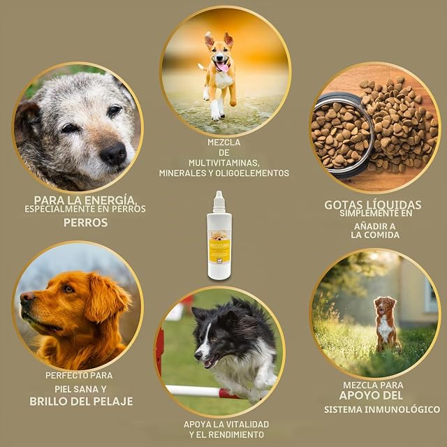 Foto 2 de 8 de EMMA Multi Vitamine B Complex para Perros, Vitamina B1, B2, B6, B12, Calcio, ácido fólico, Hierro