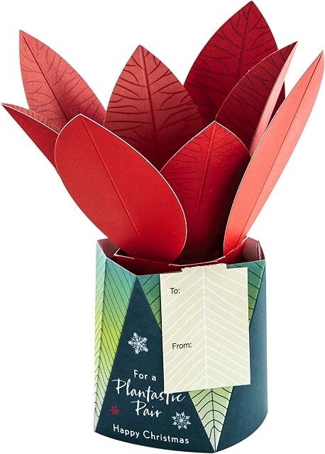 Hallmark Christmas Card for Both - Contemporary 3D Pop-Up Plant Design