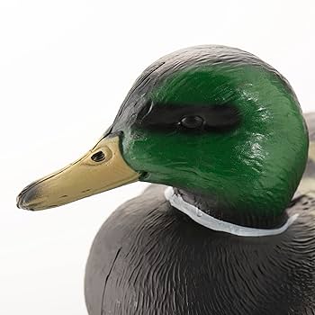 ラリック　鴨　置物 Amazon.co.jp: 鴨デコイ ダックデコイ 狩猟用 置物 (メス