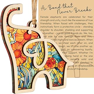 Best Friend Birthday Gifts for Women, Friendship Elephant Ornament with Story Card, Friendship Gifts for Women, Birthday Presents for Best Friends Sisters Special Bond Decor, Suncatcher
