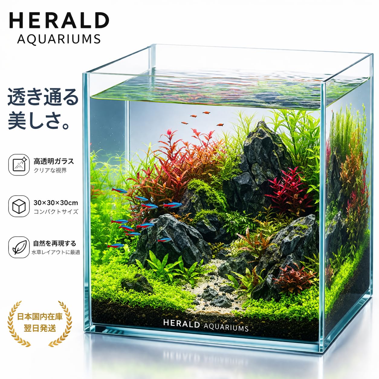 Amazon | 水槽 キューブ 40CM W40×D40×H40cmフレームレス アクアリウム