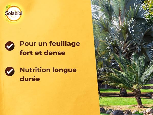 SOLABIOL Engrais Palmiers Et Plantes Méditerranéennes - 1,5Kg - Jusqu'à 7 Palmiers - Pour Un Feuillage Fort & Dense - Nutrition Longue Durée - Utilisable En Agriculture Biologique SOPALMY15 - 4